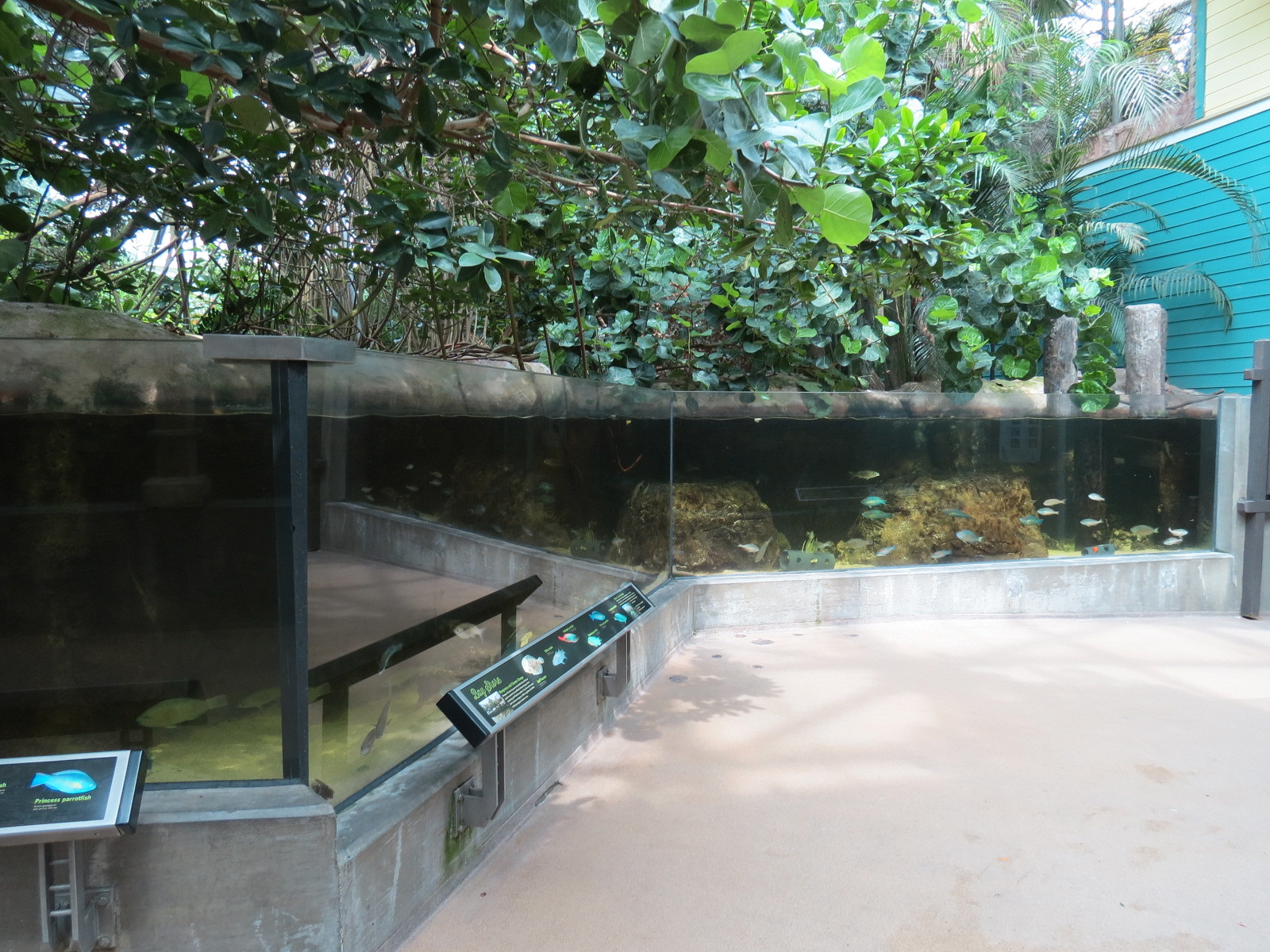 Wetlands Trail - Bay Shore Exhibit