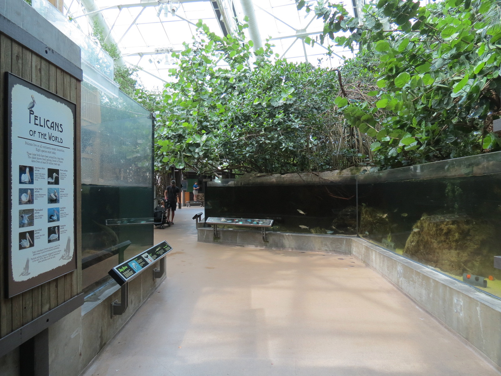 Wetlands Trail - Bay Shore Exhibit