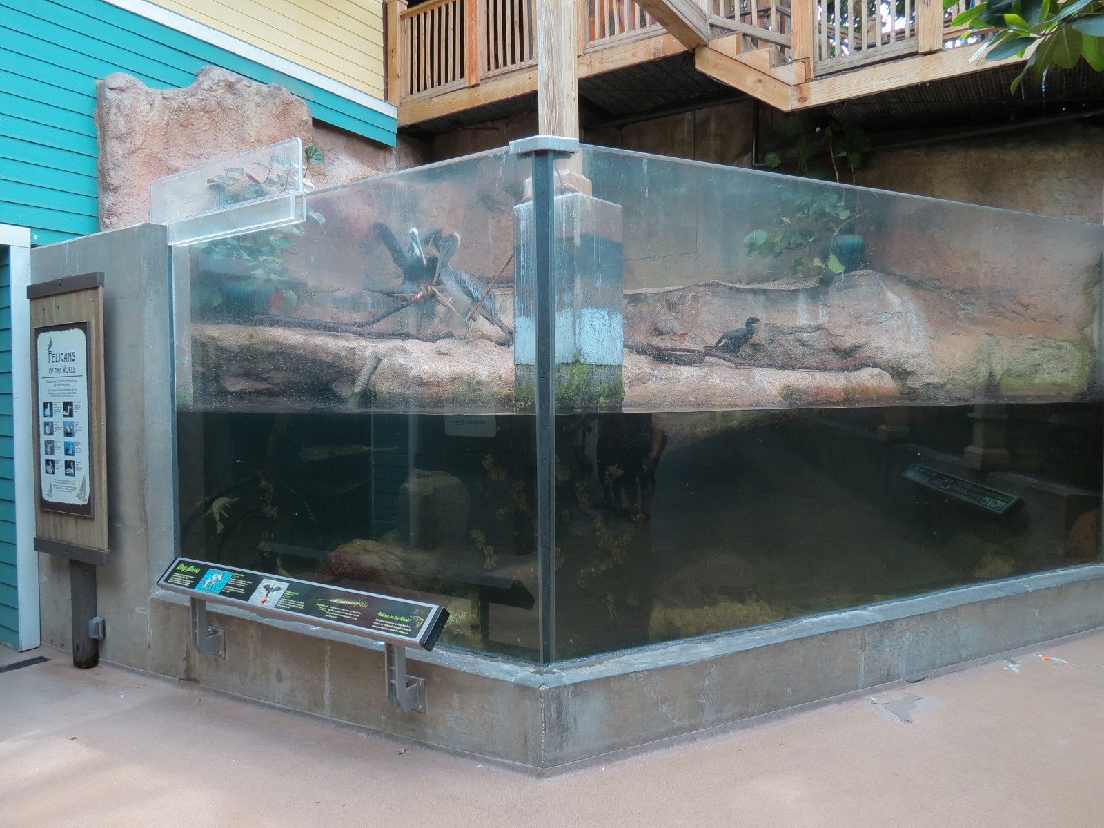 Wetlands Trail - Bay Shore Exhibit