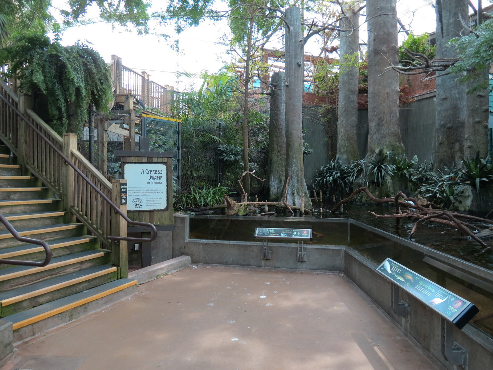 Wetlands Trail - Cypress Swamp Exhibit