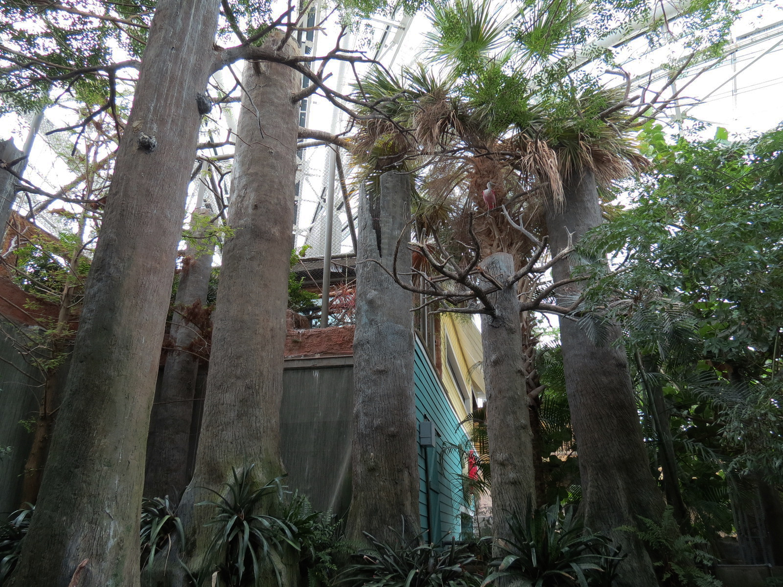 Wetlands Trail - Cypress Swamp Exhibit