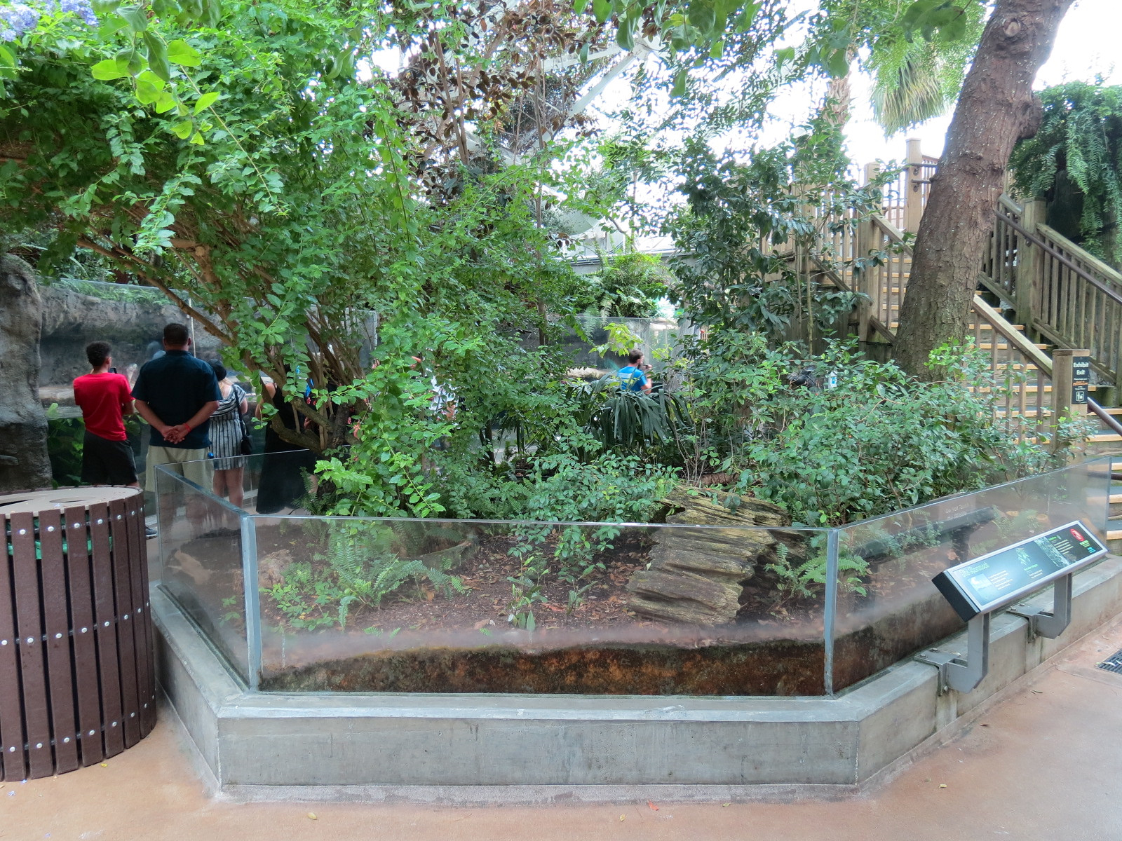 Wetlands Trail - Hardwood Hammock Exhibit