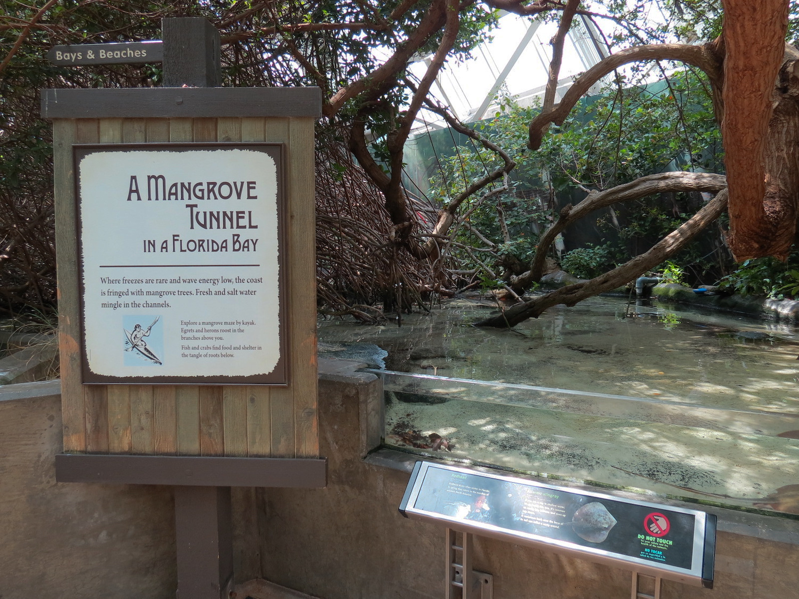 Wetlands Trail - Mangrove Tunnel Exhibit