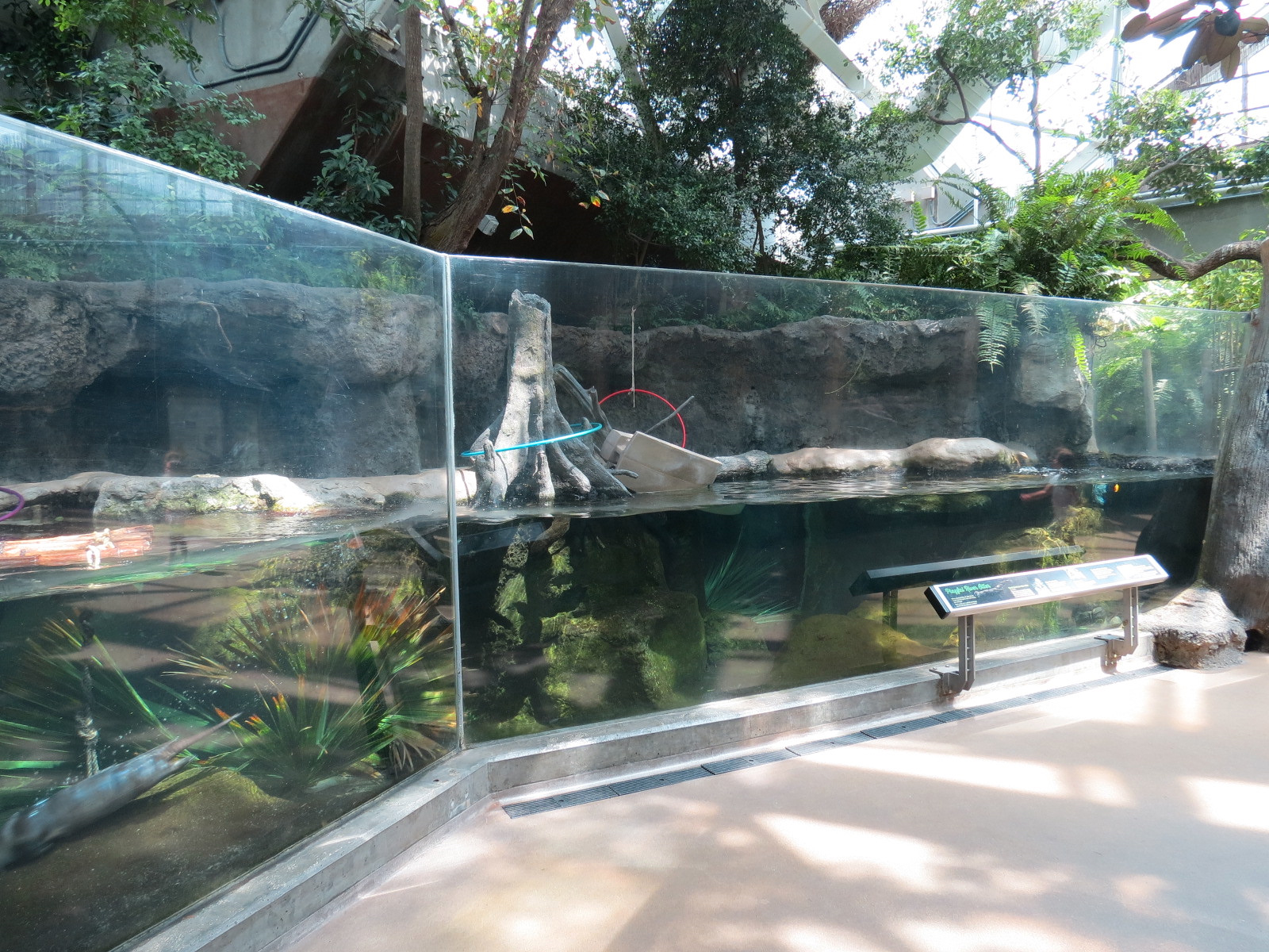 Wetlands Trail - Otter Den Exhibit