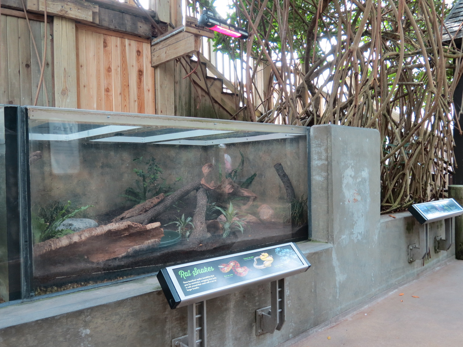 Wetlands Trail - Ratsnake Exhibit