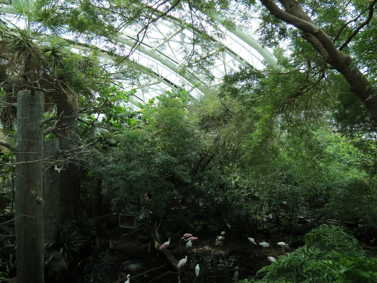 Wetlands Trail - Skylit Roof Above Cypress Swamp Exhibit