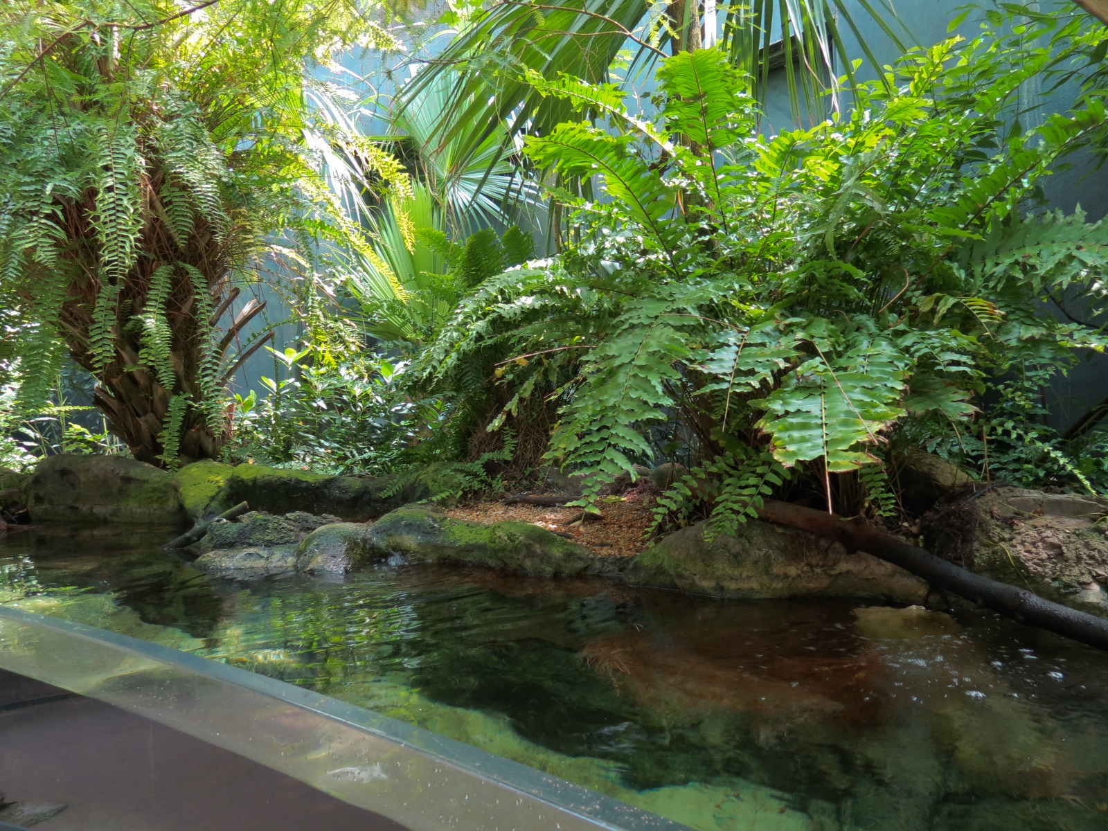 Wetlands Trail - Sping-fed Stream Exhibit