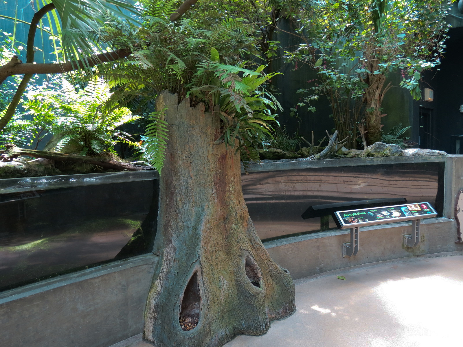 Wetlands Trail - Sping-fed Stream Exhibit