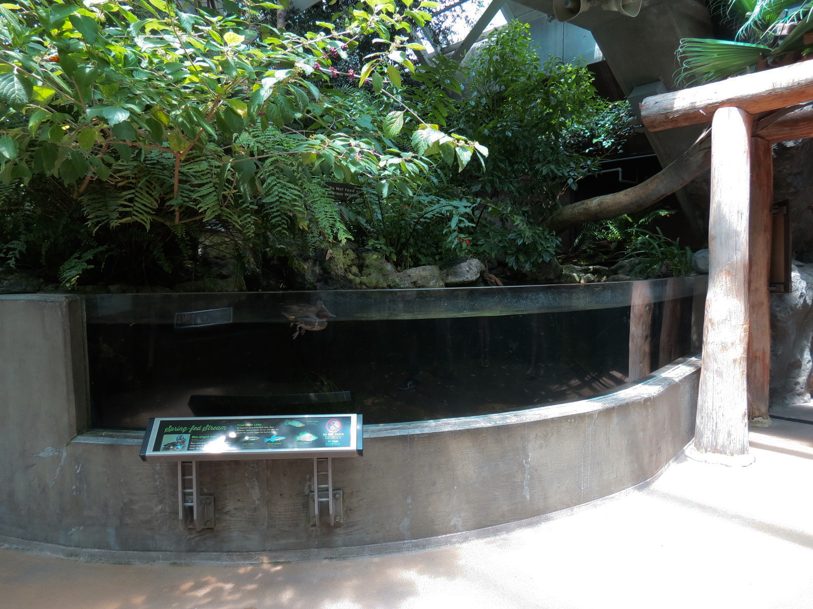 Wetlands Trail - Sping-fed Stream Exhibit