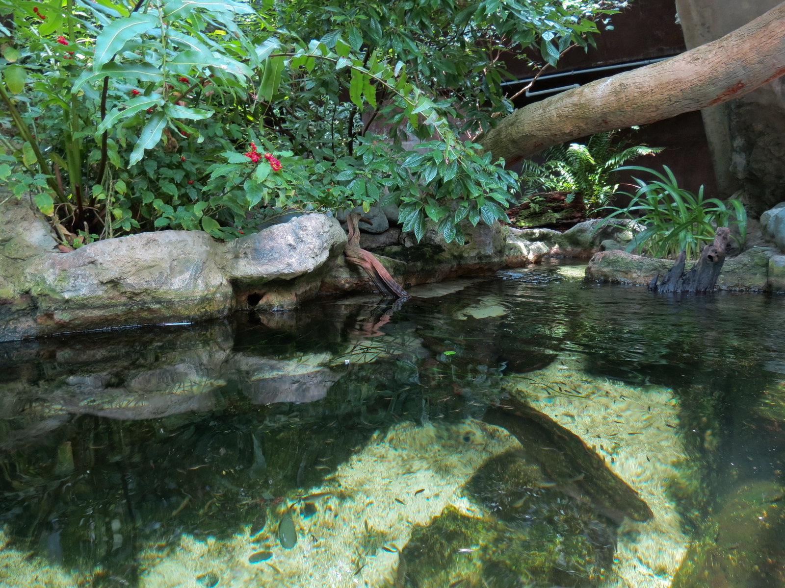 Wetlands Trail - Sping-fed Stream Exhibit