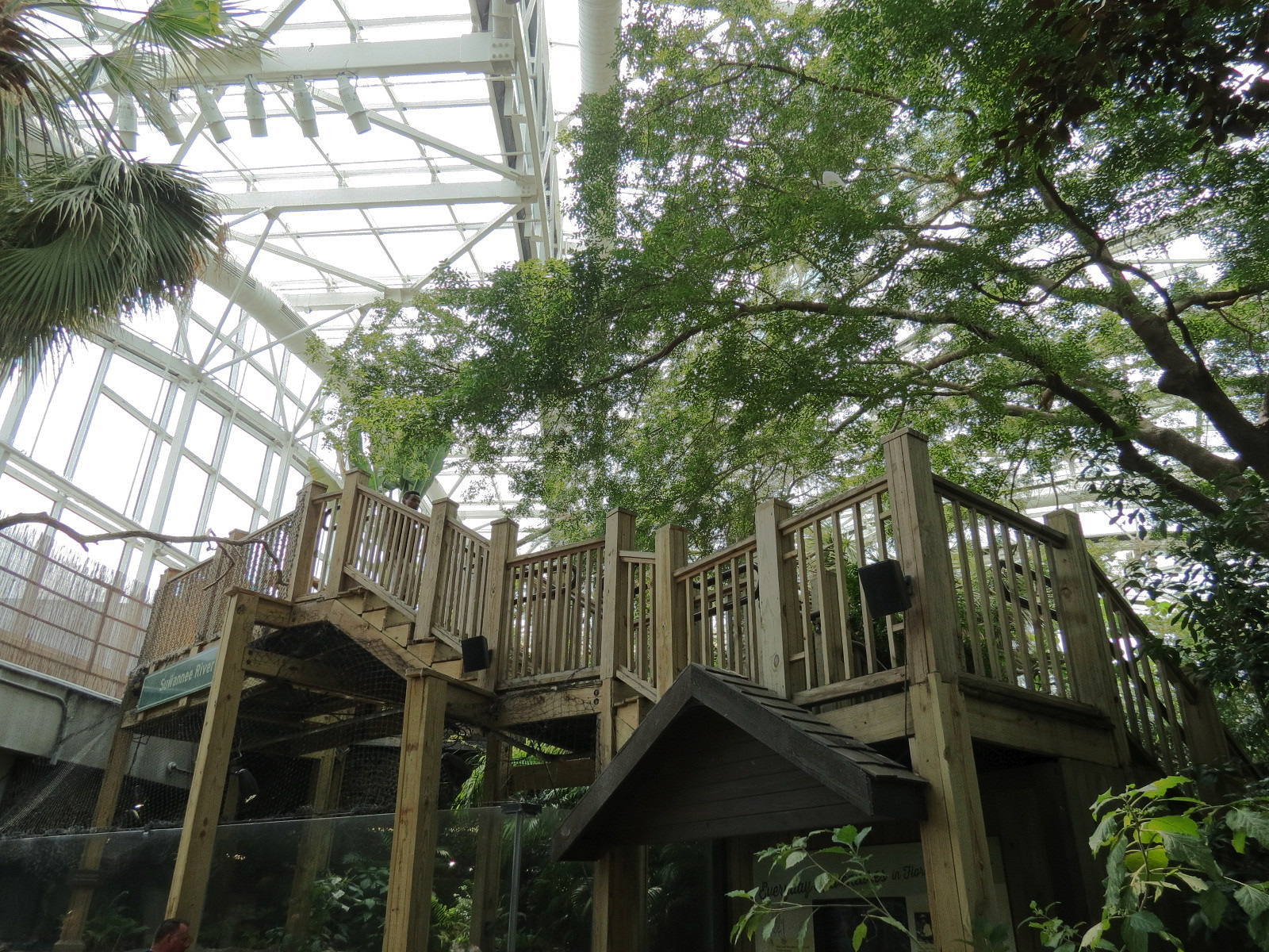 Wetlands Trail - Stairs and Skylit Roof Above Suwannee River Exhibit