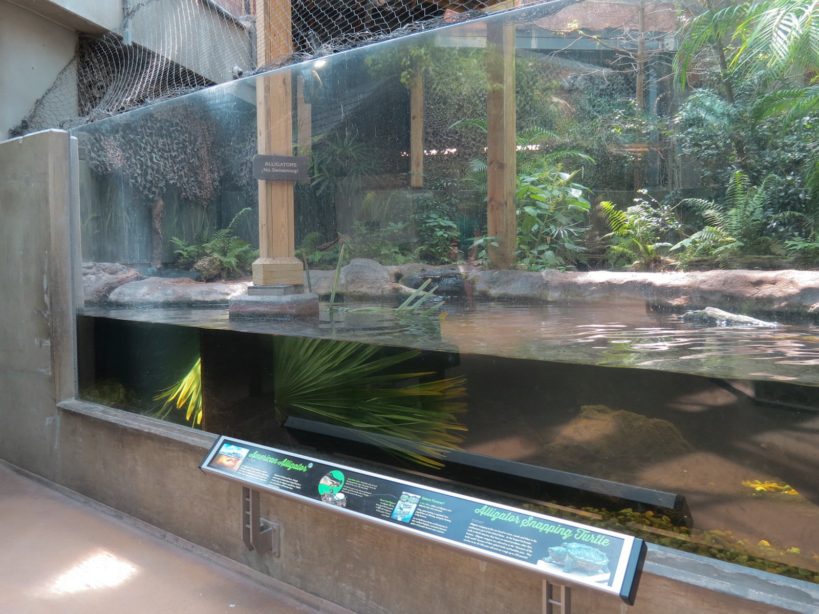 Wetlands Trail - Suwannee River Exhibit