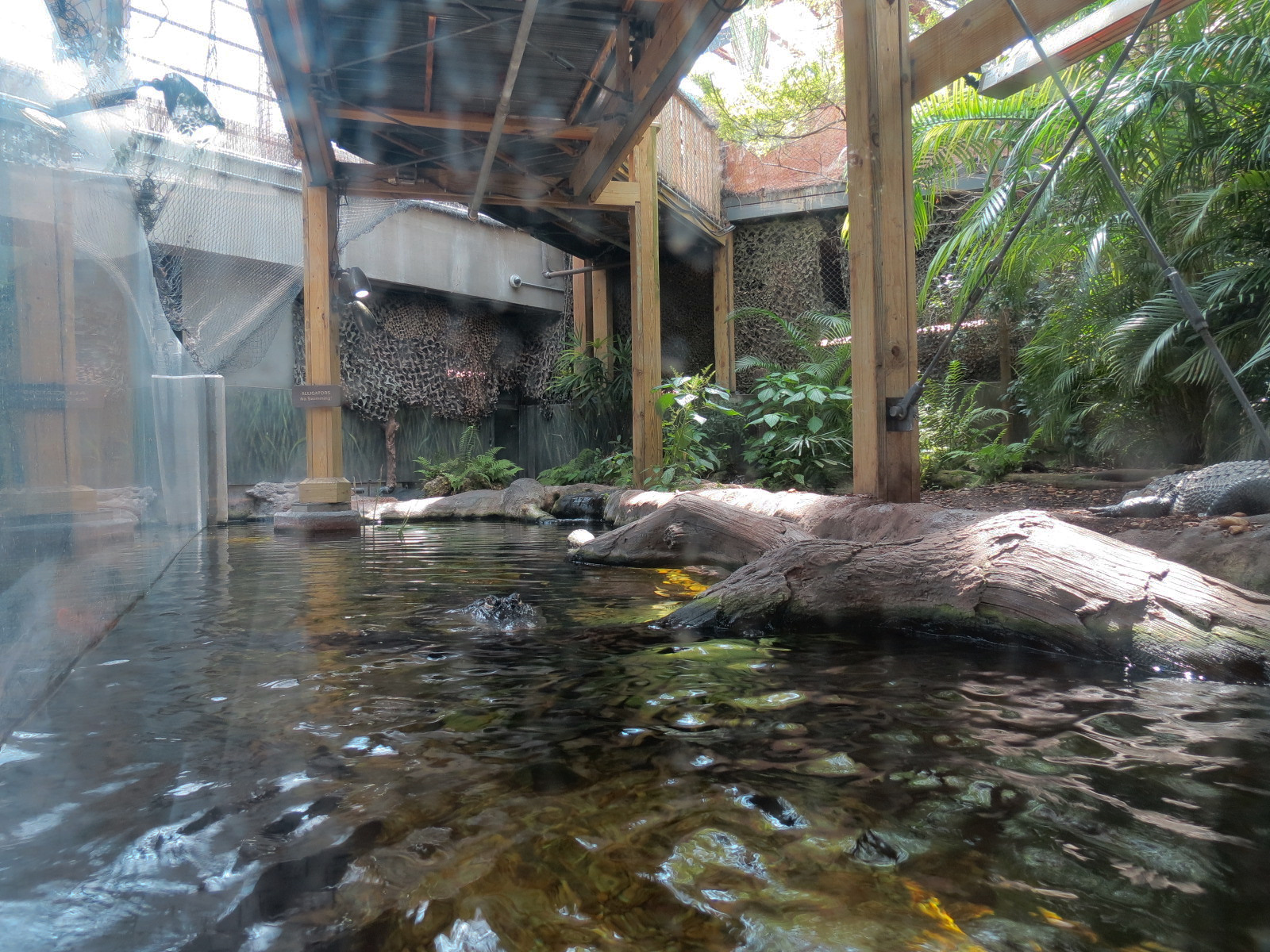 Wetlands Trail - Suwannee River Exhibit