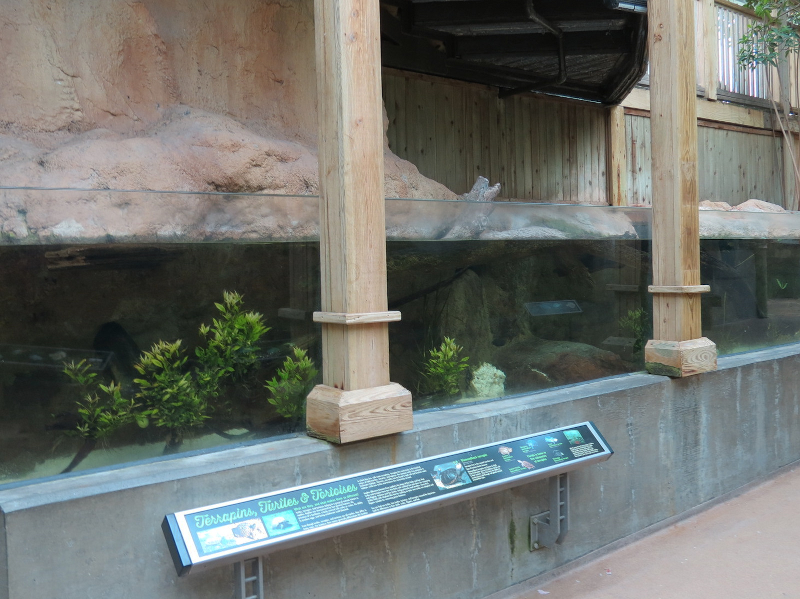 Wetlands Trail - Terrapins, Turtles, and Tortoises Exhibit