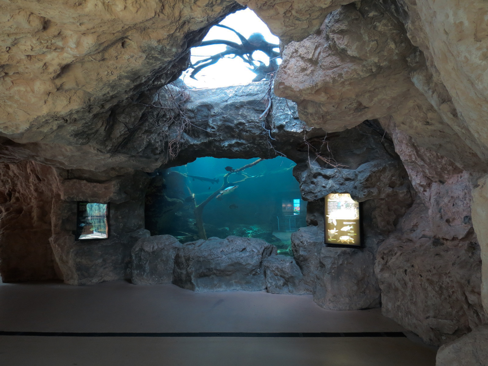 Wetlands Trail - Underground Spring Exhibit