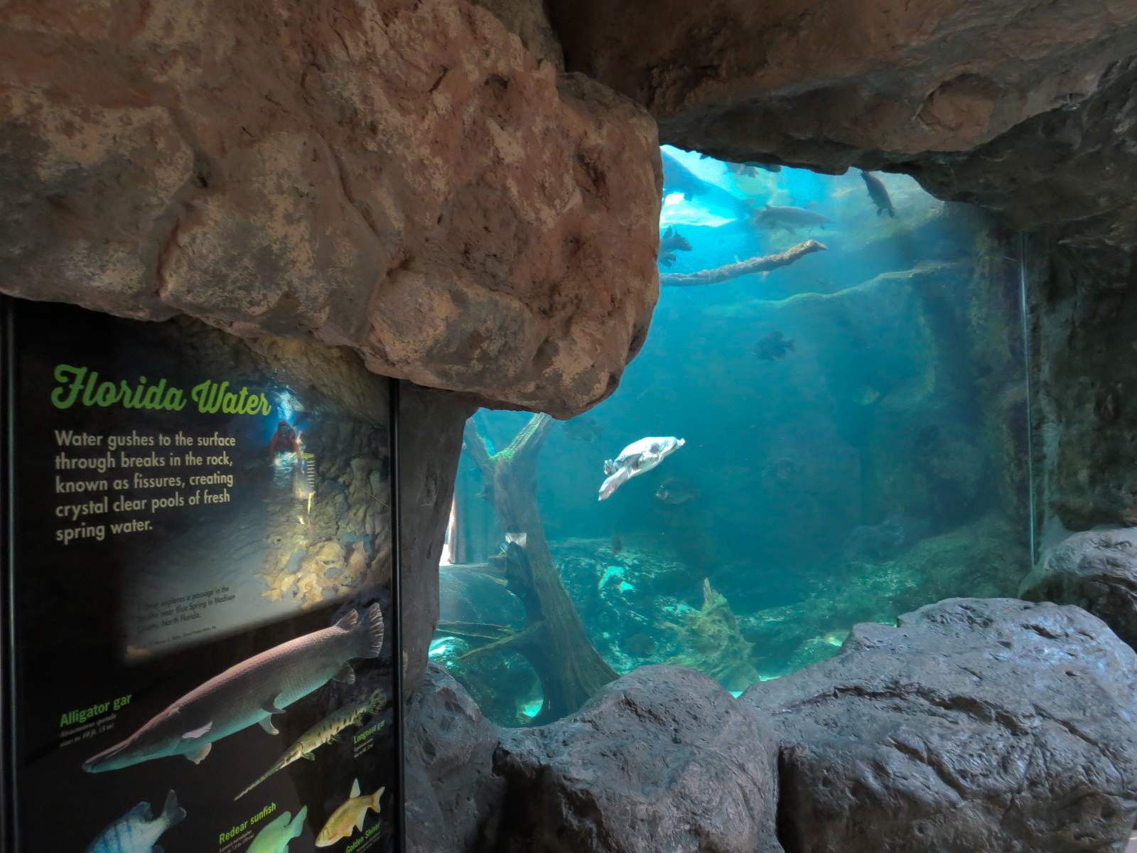 Wetlands Trail - Underground Spring Exhibit