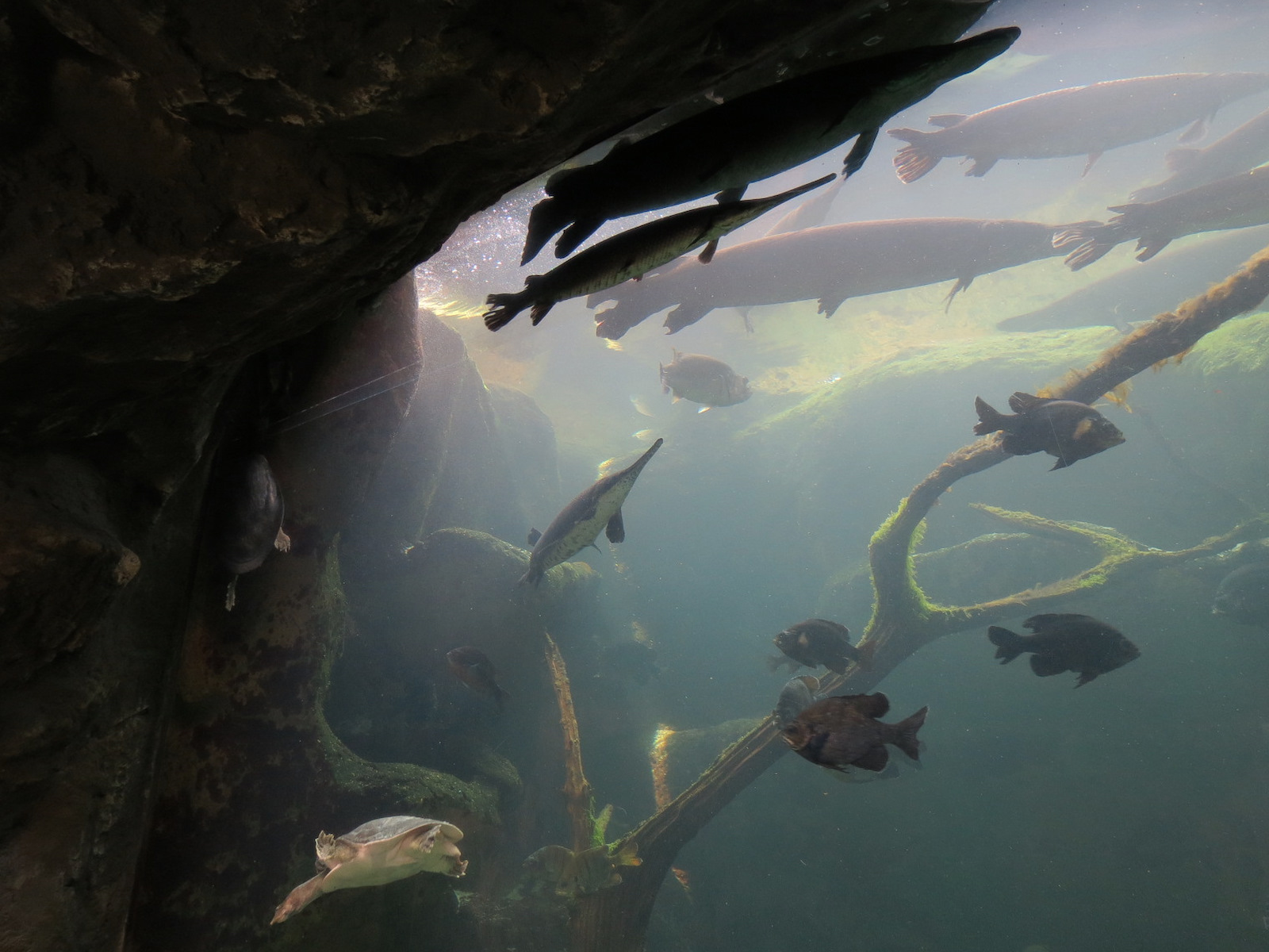 Wetlands Trail - Underground Spring Exhibit