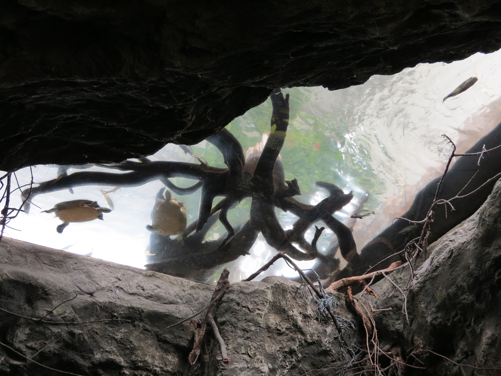 Wetlands Trail - Underground Spring Exhibit