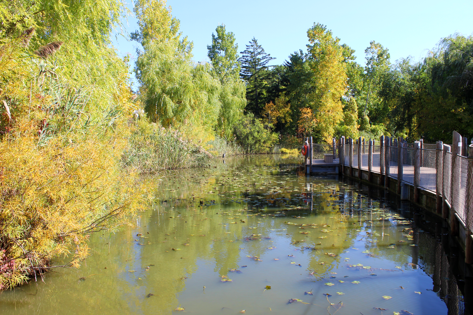 Wetlands Trail