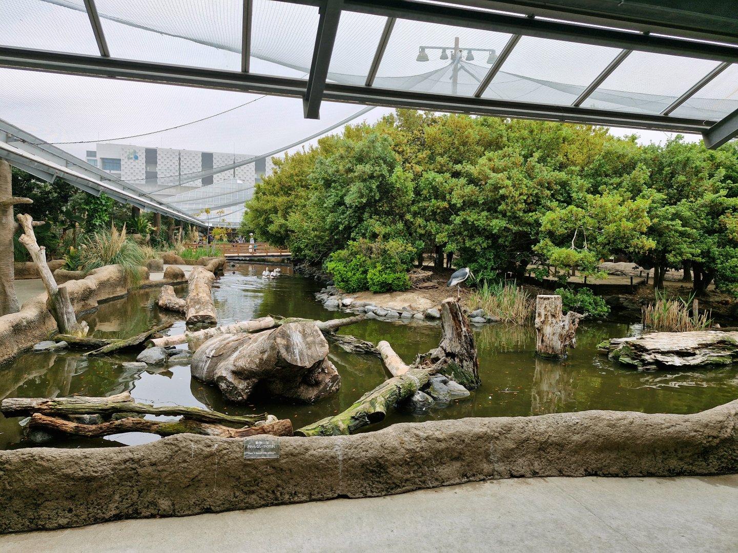 Wetlands walkthrough