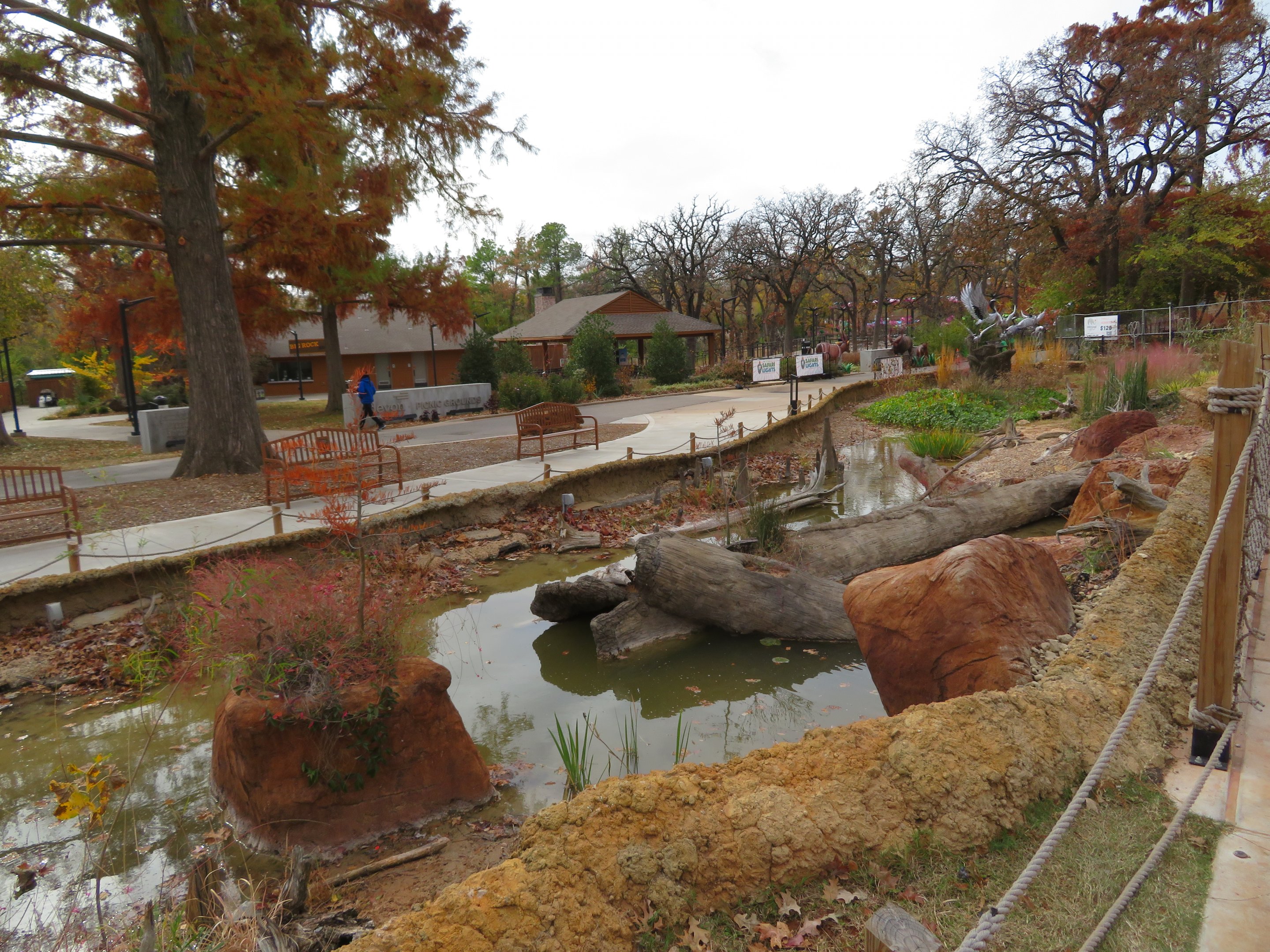 Wetlands Walkway - Amphibians
