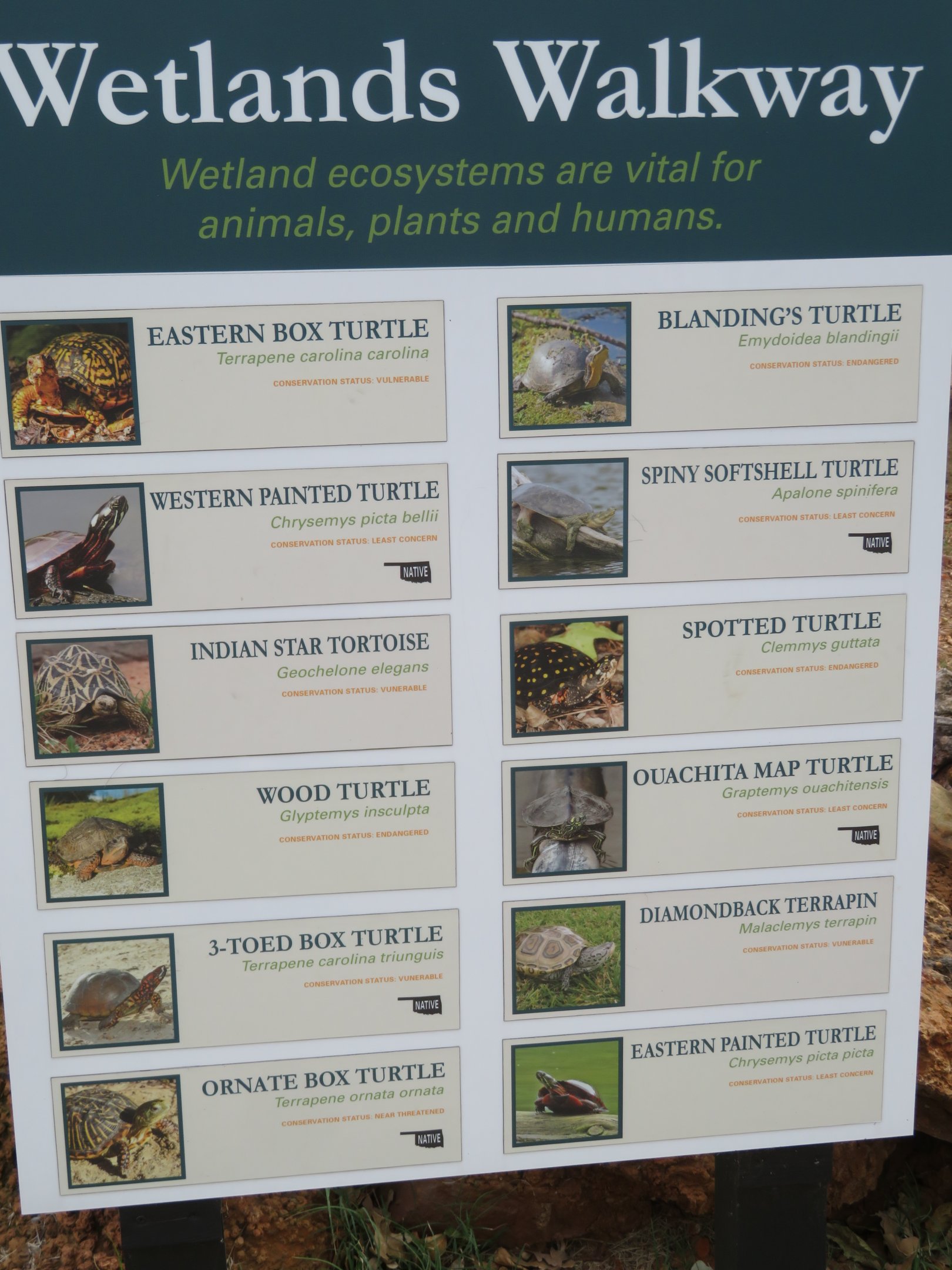 Wetlands Walkway Signage