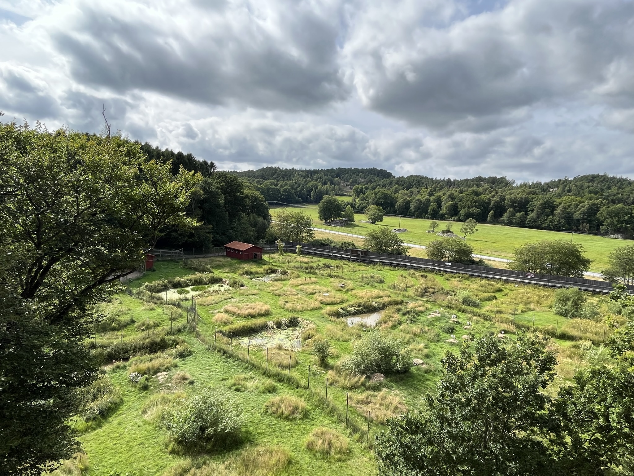 Wetlands Zone - cranes + storks