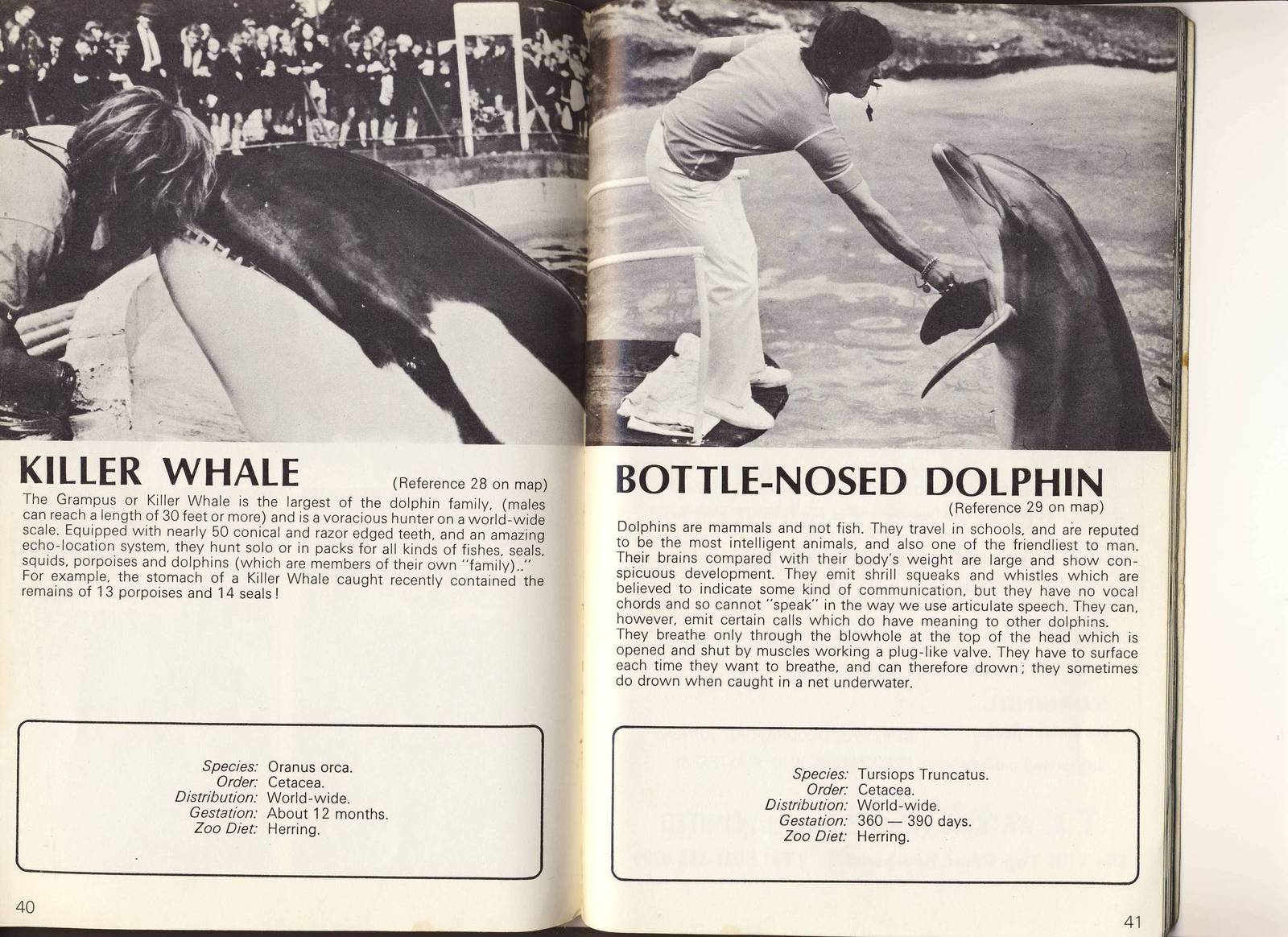 whale and dolphin pages Dudley guide 1972