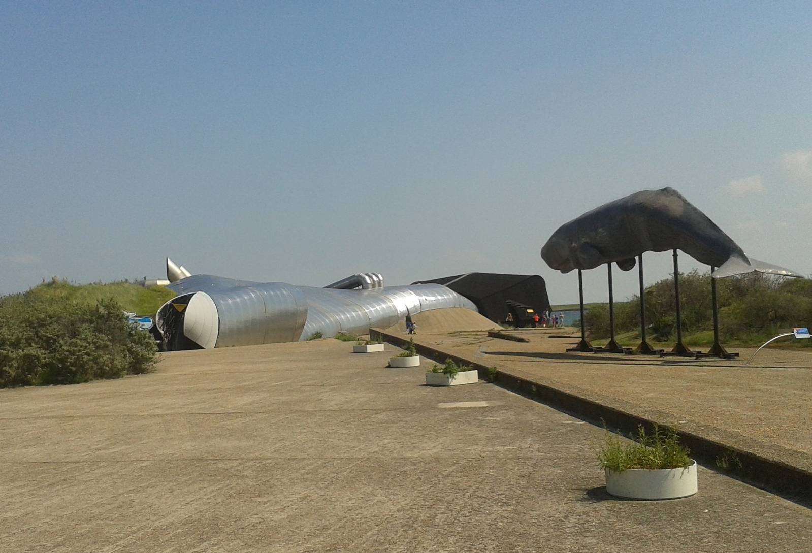 Whale exposition building