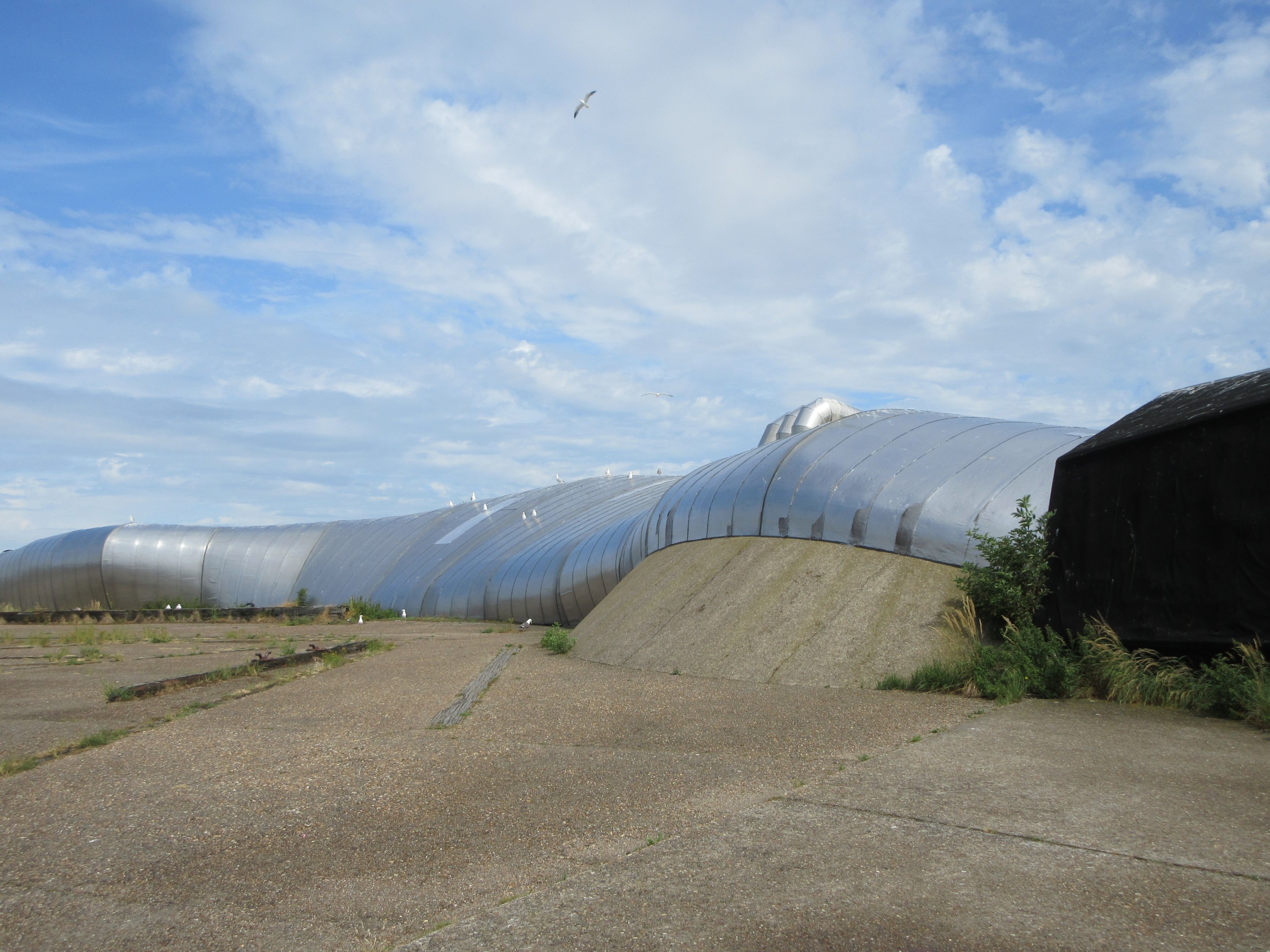 Whale Museum (like a beached whale)