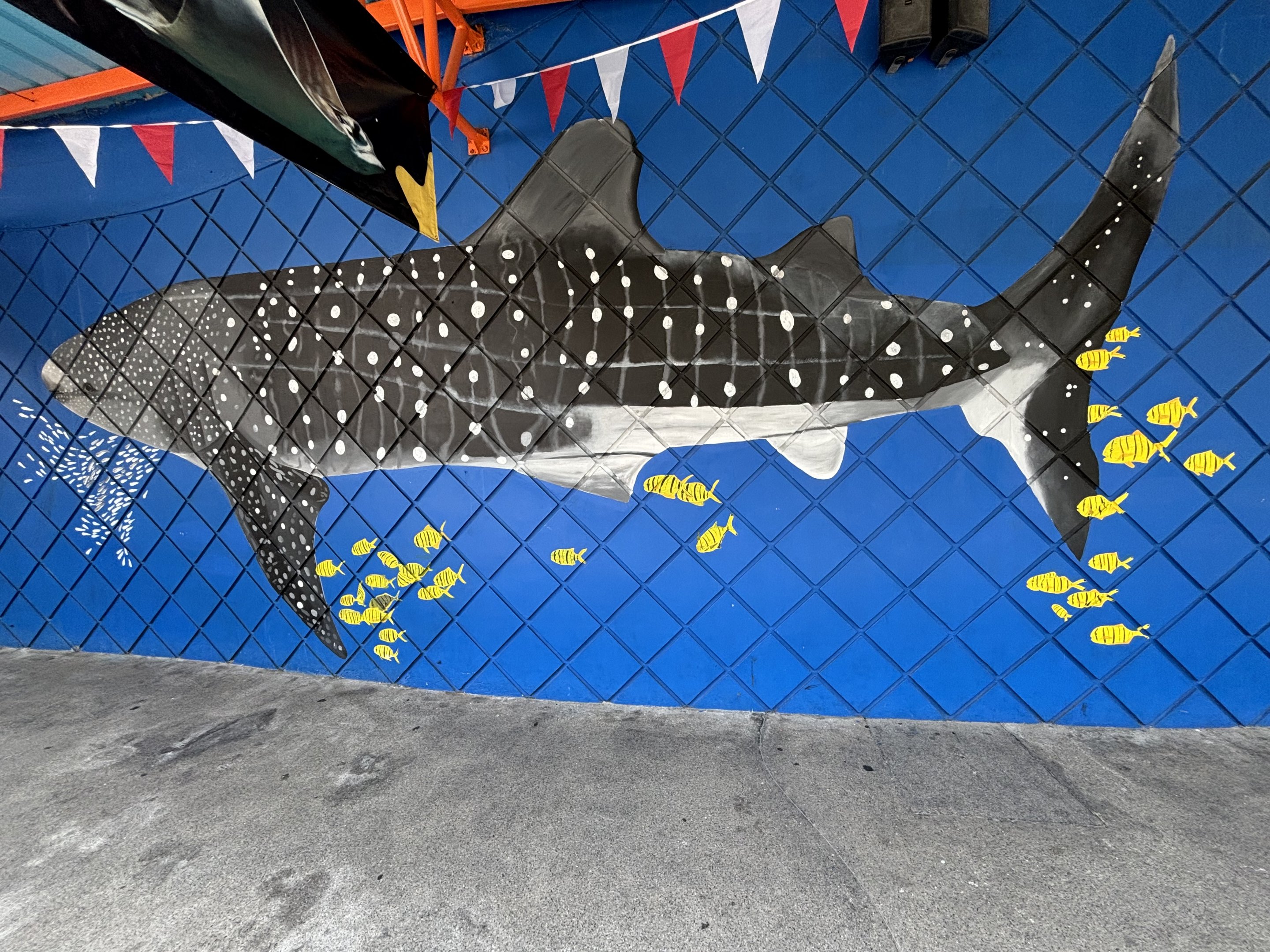 Whale Shark Artwork