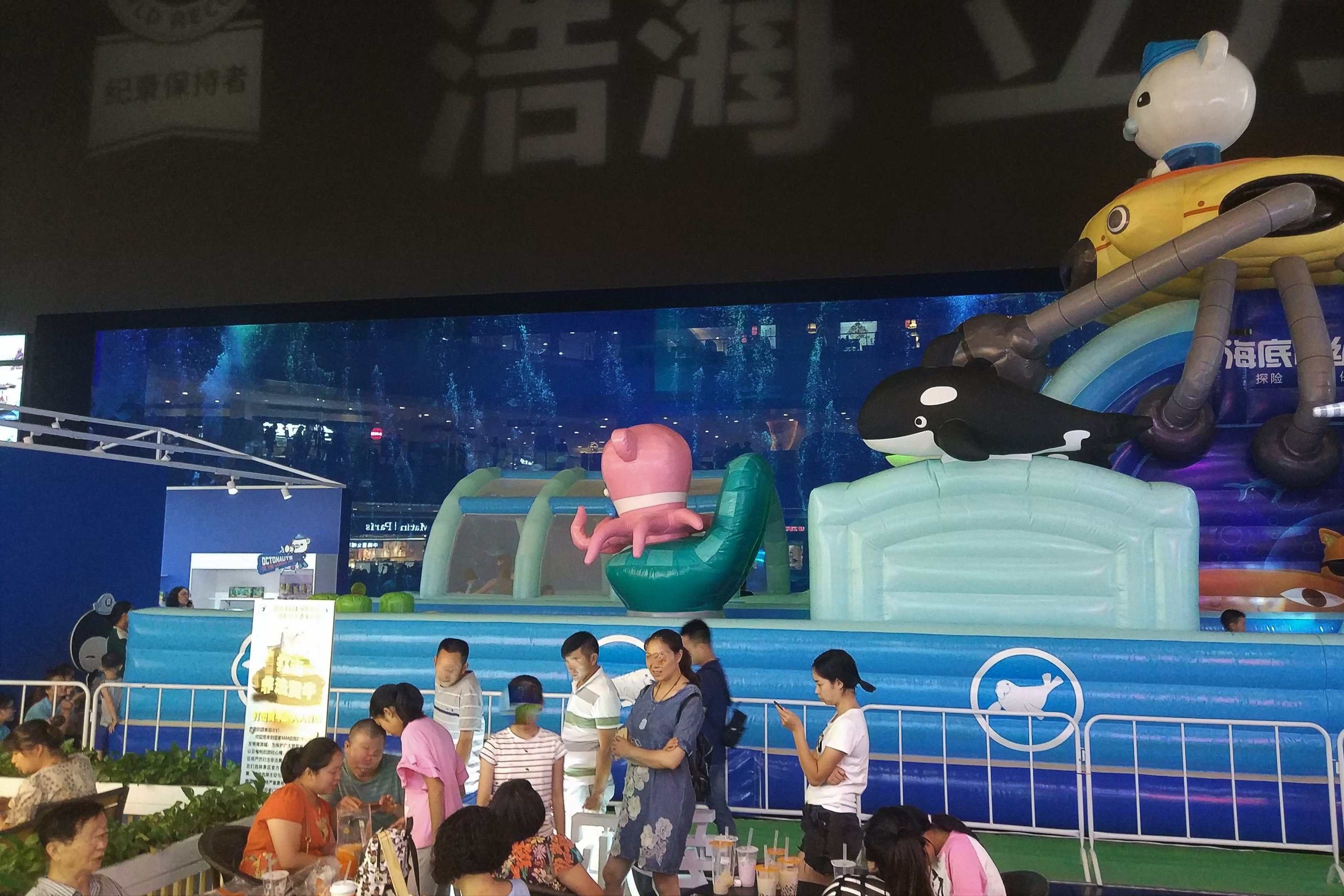 Whale Shark Main Window with Inflatable