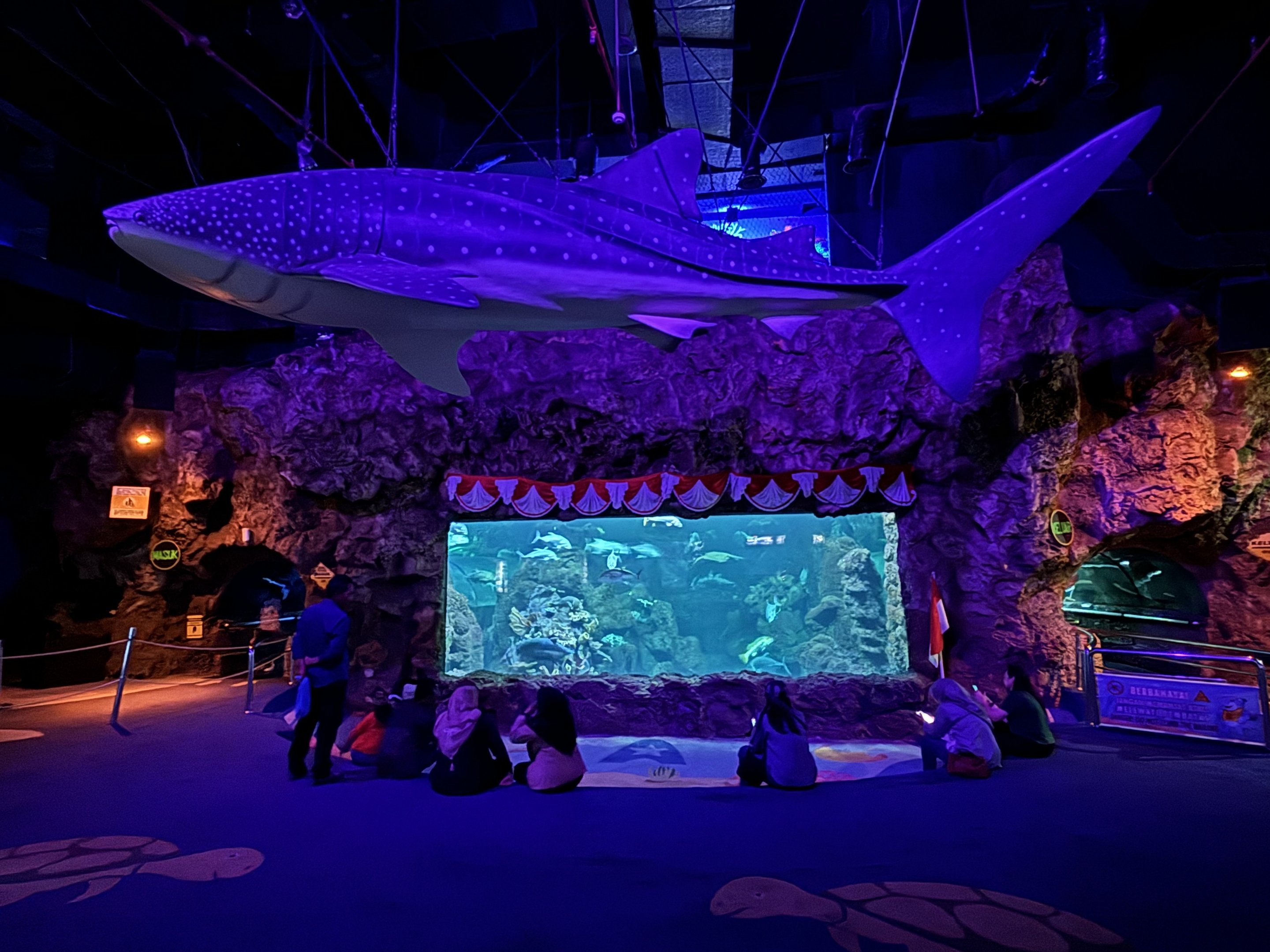 Whale Shark Model