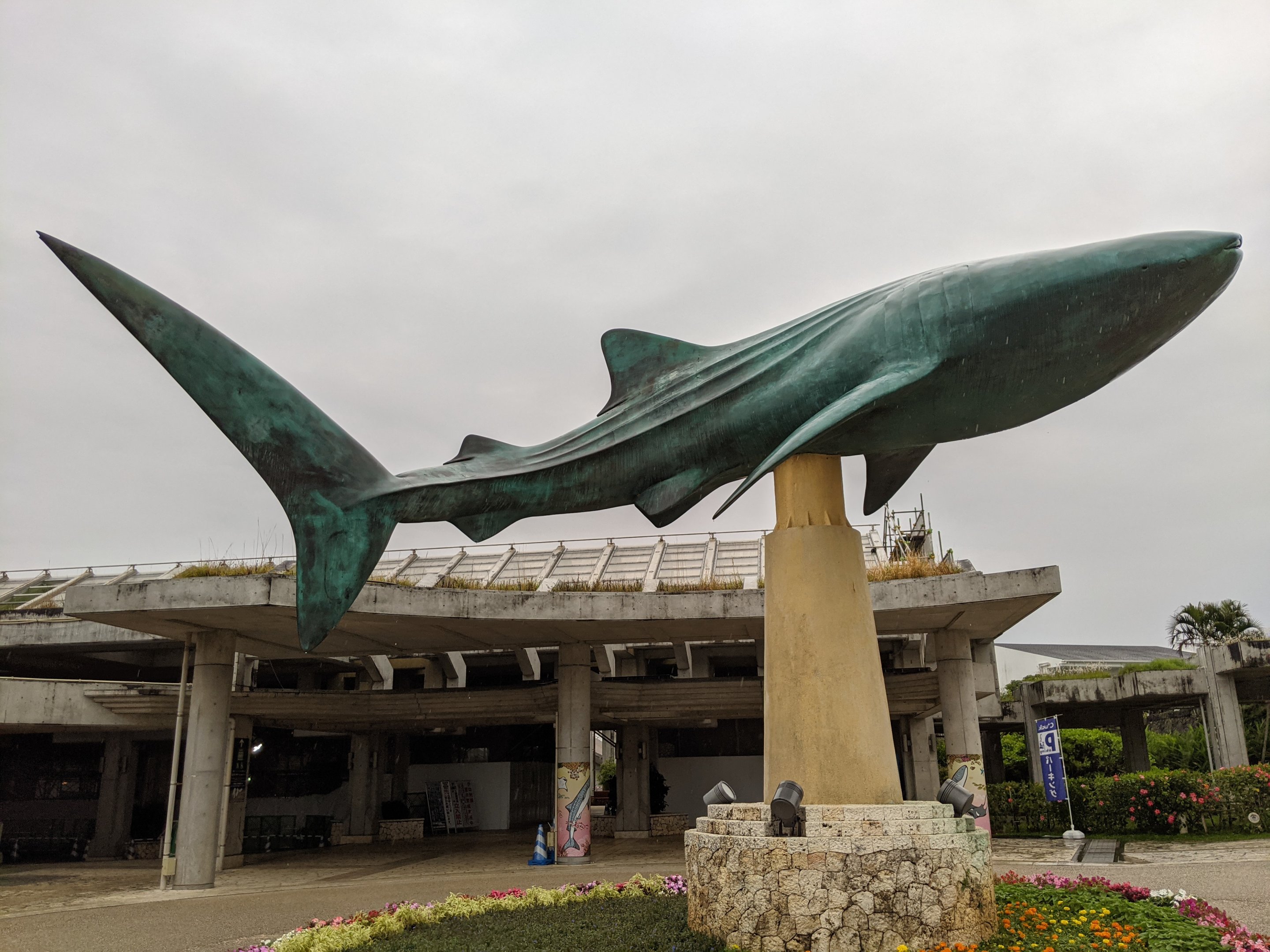 Whale Shark statue