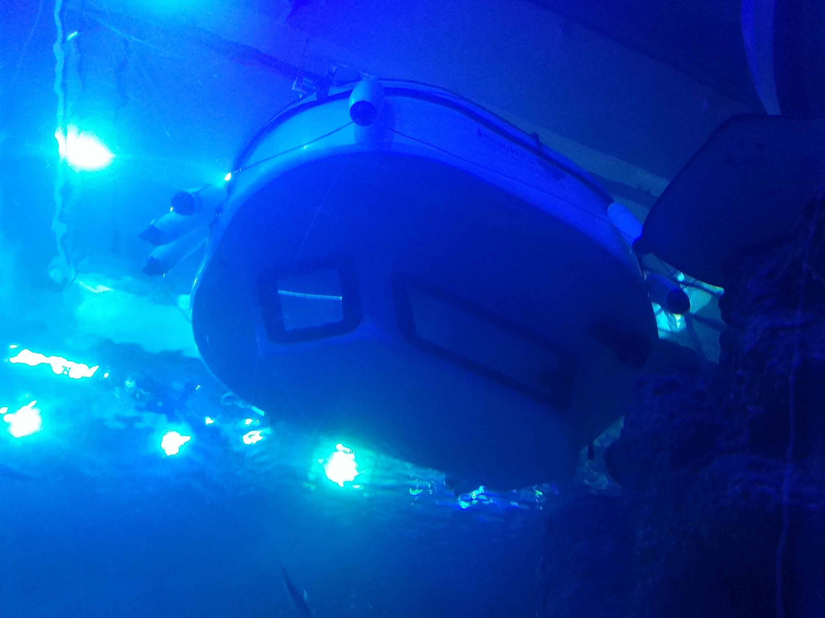 Whale Shark Tank 'Submarine'