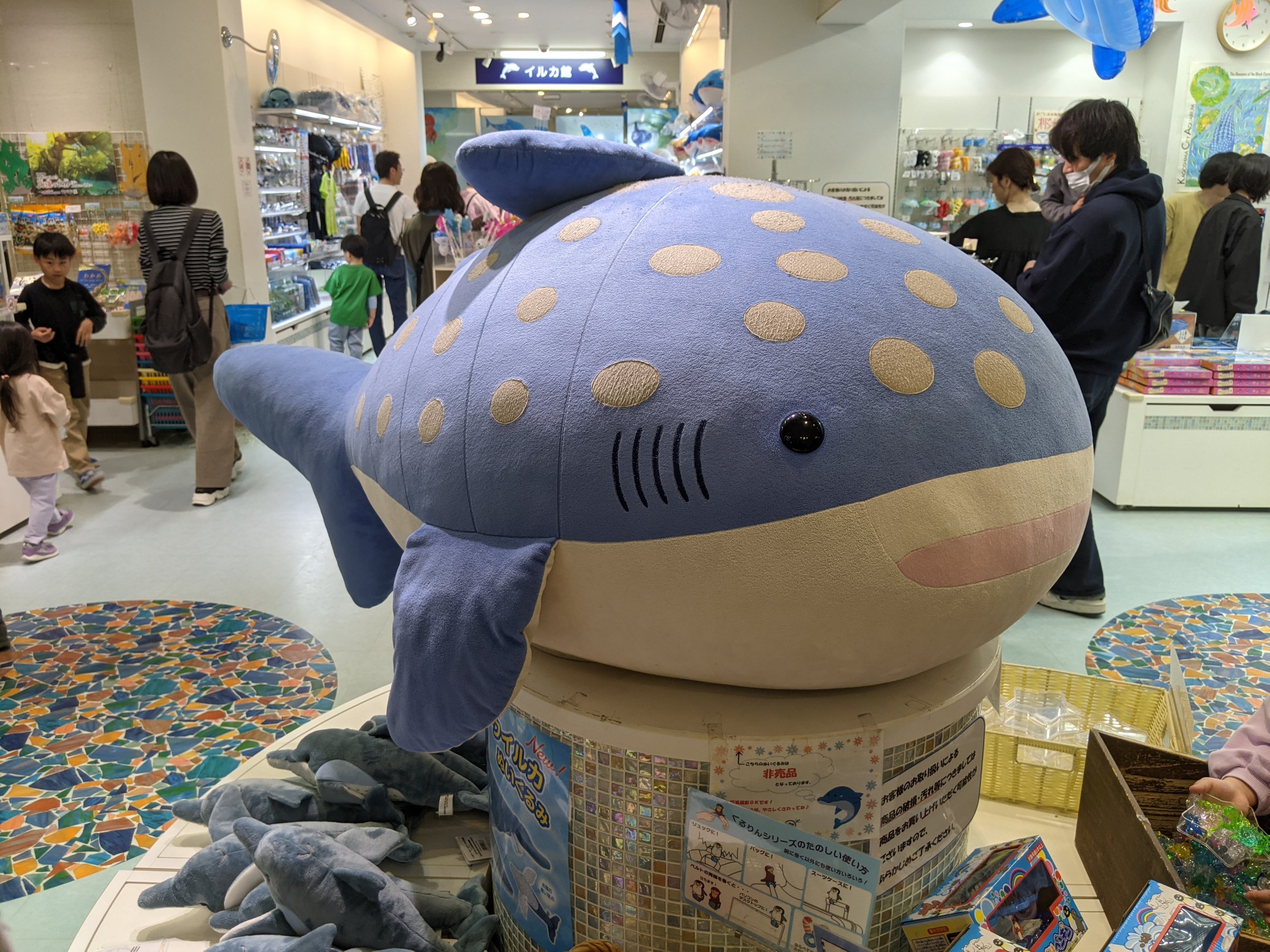 Whale Shark toy in gift shop