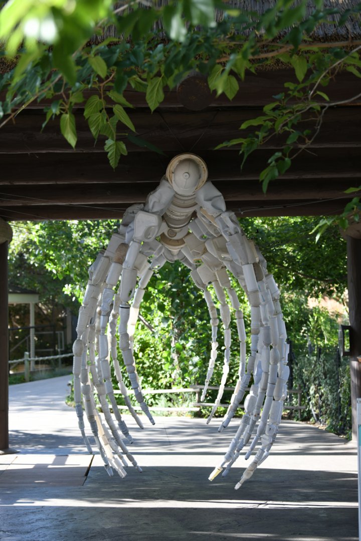 whale skeleton from discarded plastic