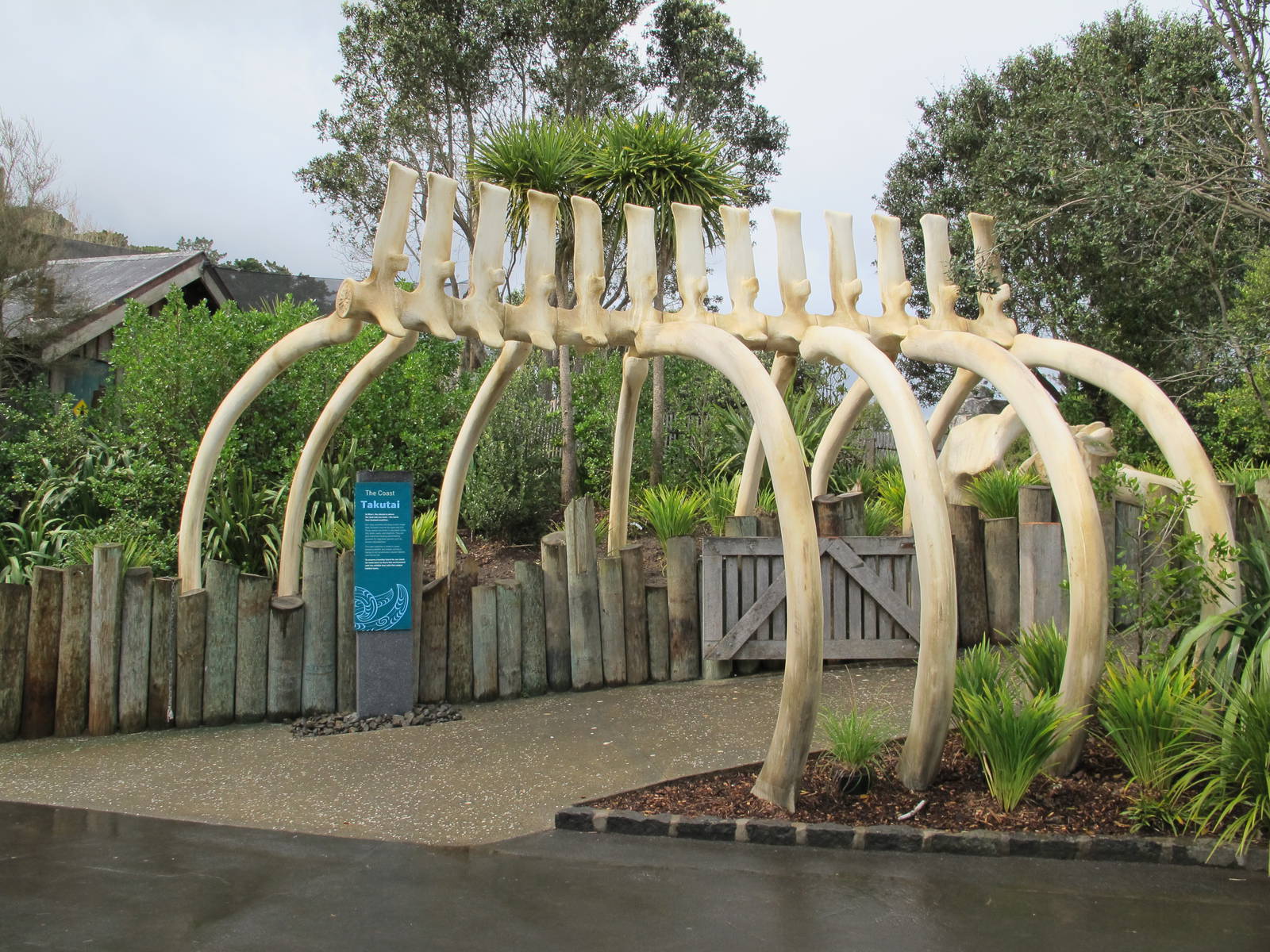 Whale Skeleton - Te Wao Nui Auckland Zoo 2011