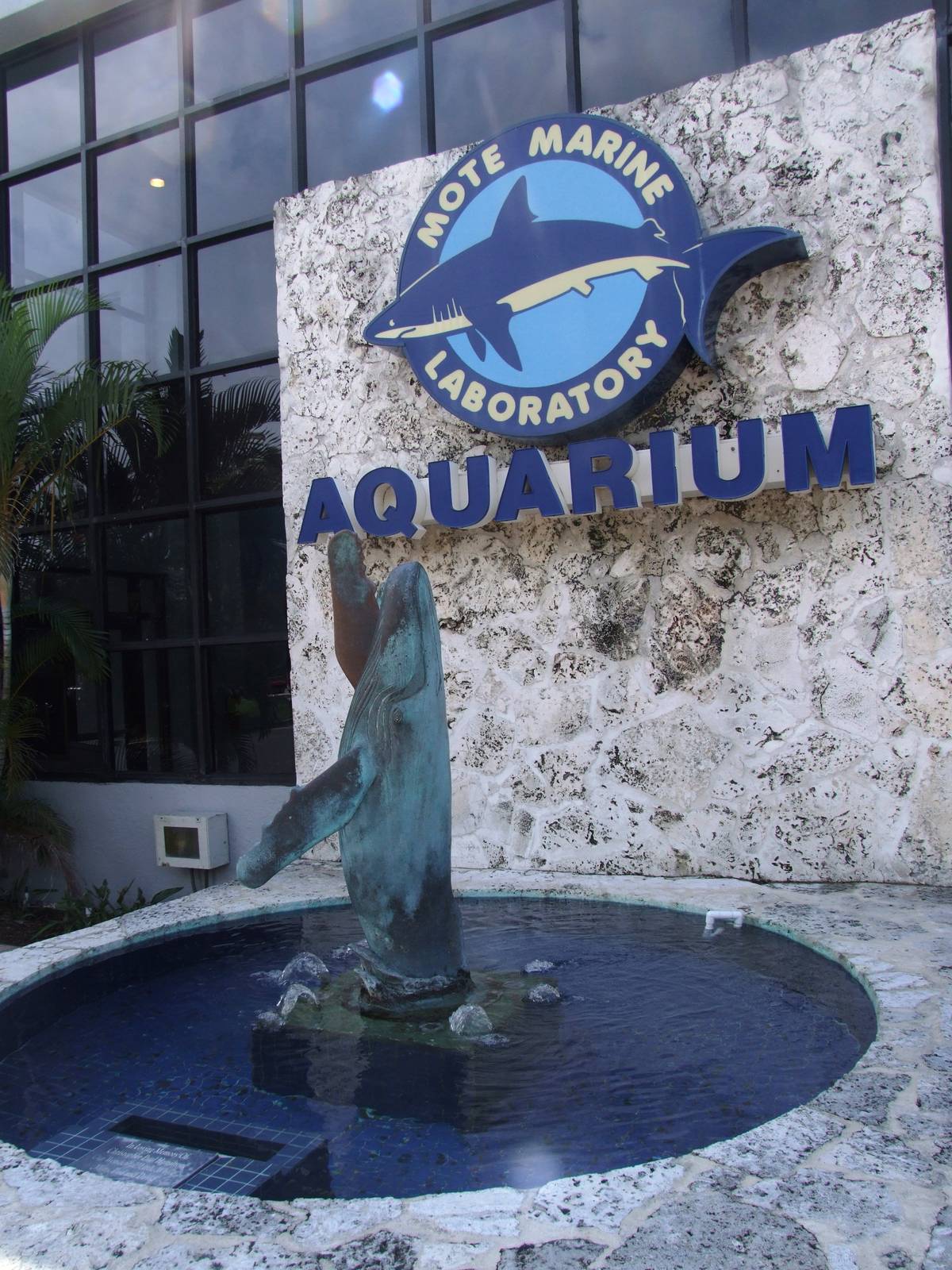Whale Statue and Signage at Mote, 07/10/13
