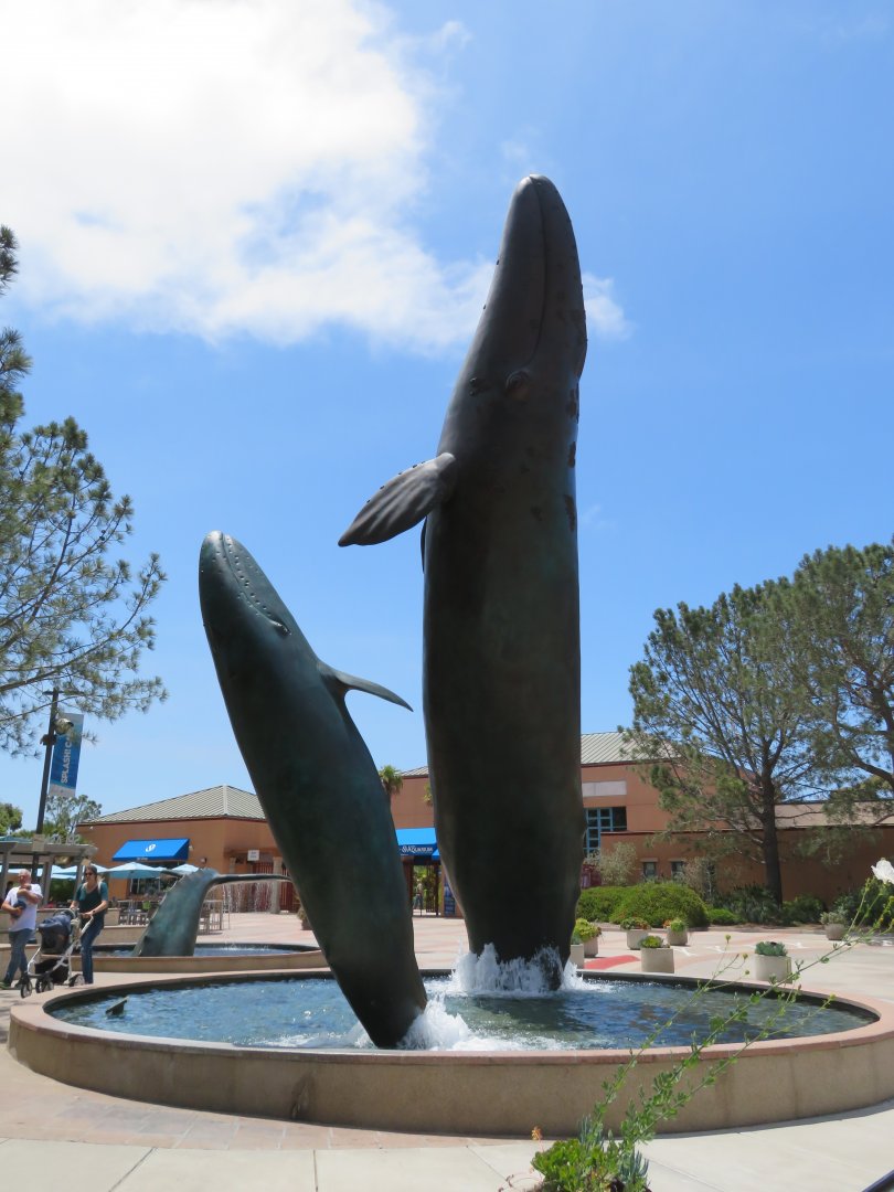Whale Statue/Fountain