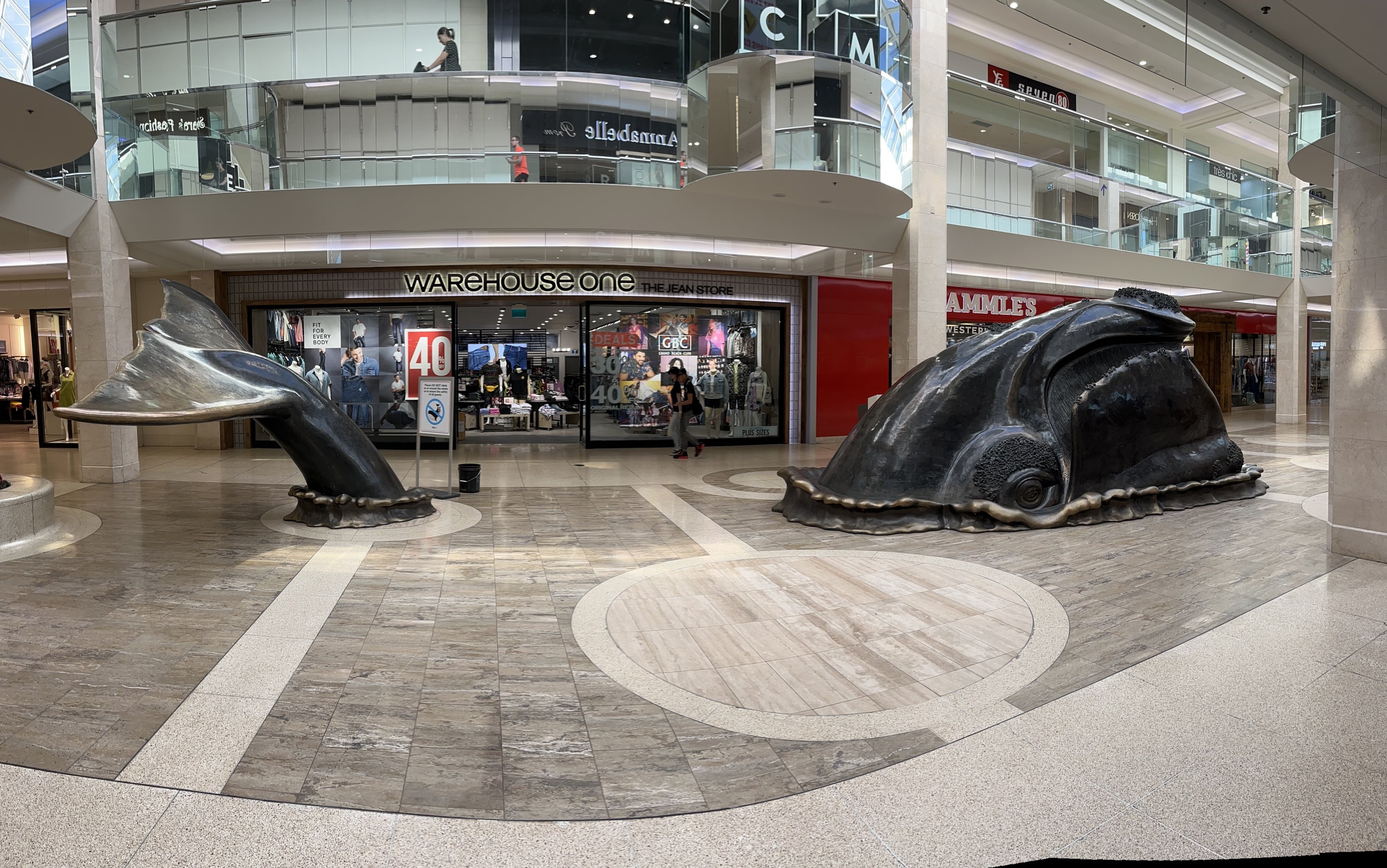 Whale surfacing in shopping mall
