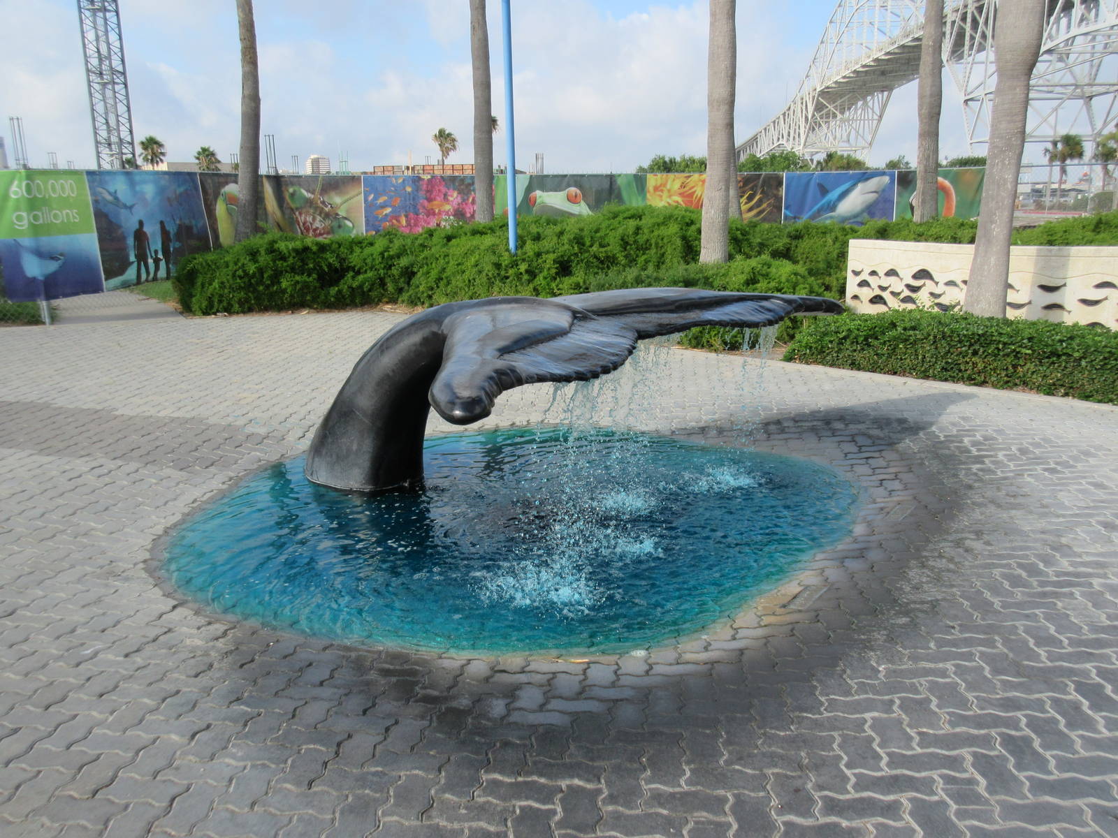 Whale Tail Fountain