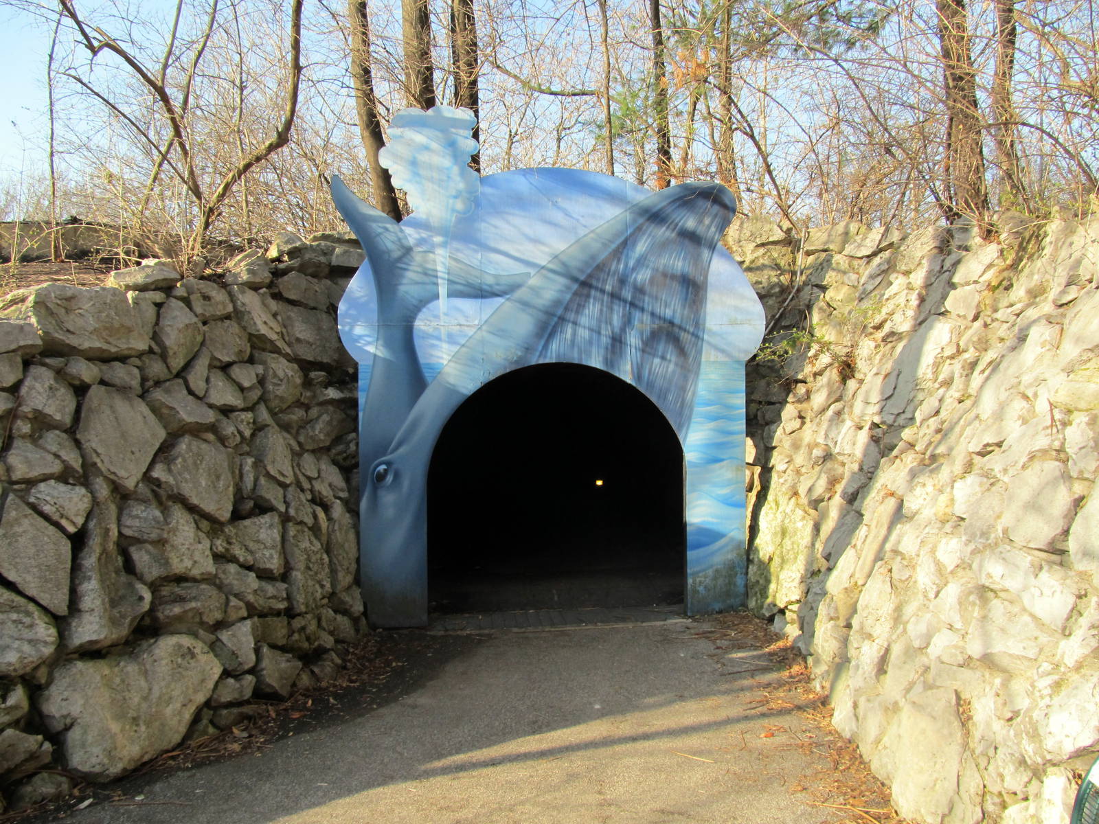 Whale Tunnel