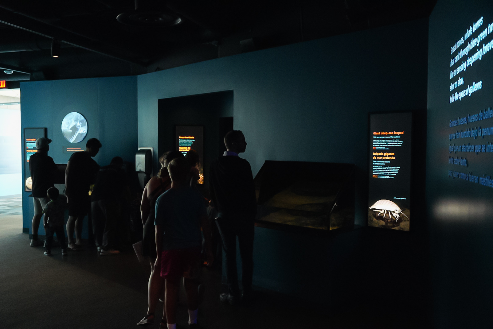 'Whalefall' (smaller exhibits)