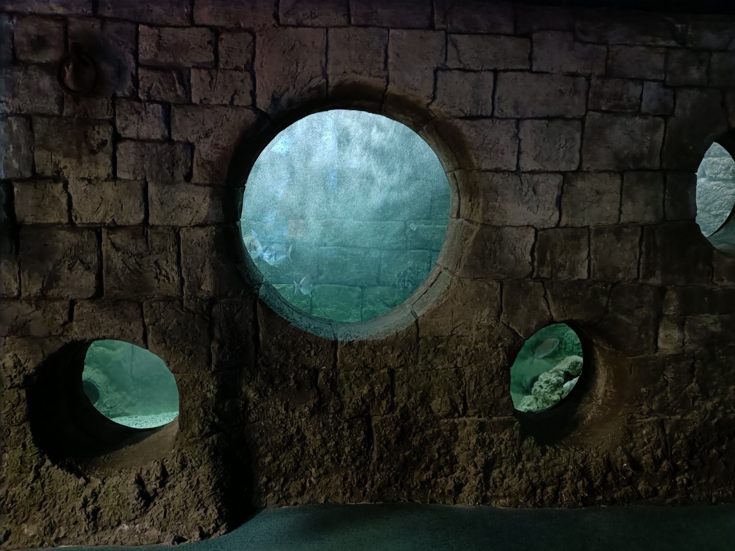 Wharf exhibit - Bioparc Acuario de Gijón