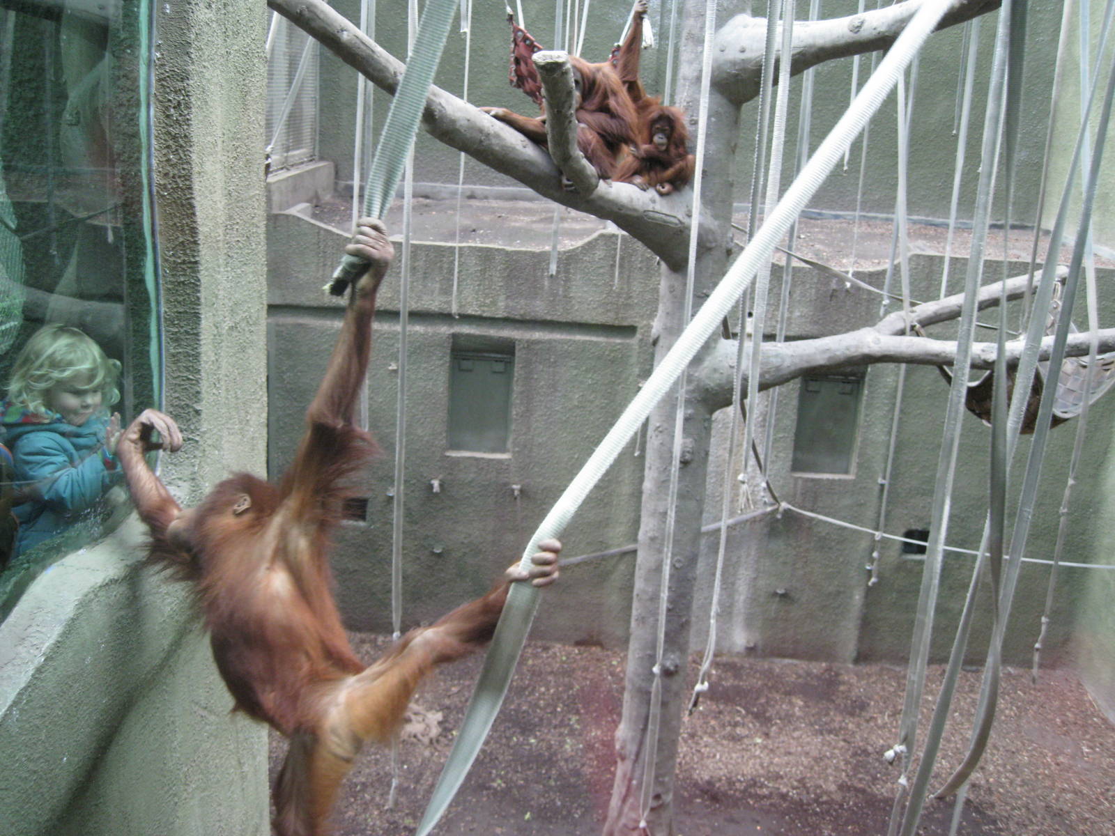 What a zoo should be about.