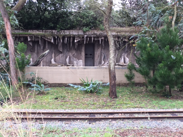 What animal inhabited this enclosure?