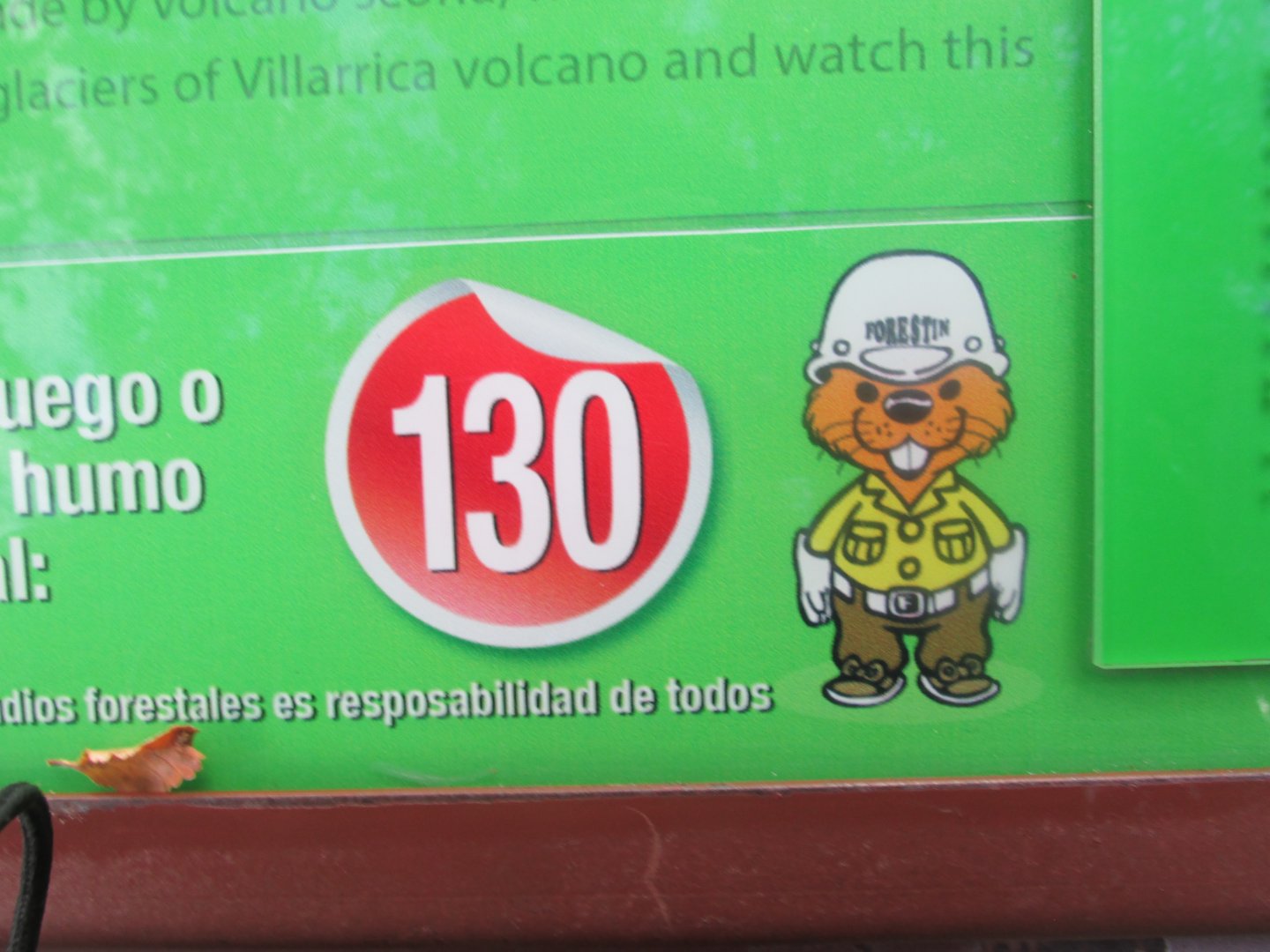 what animal is forestin '?