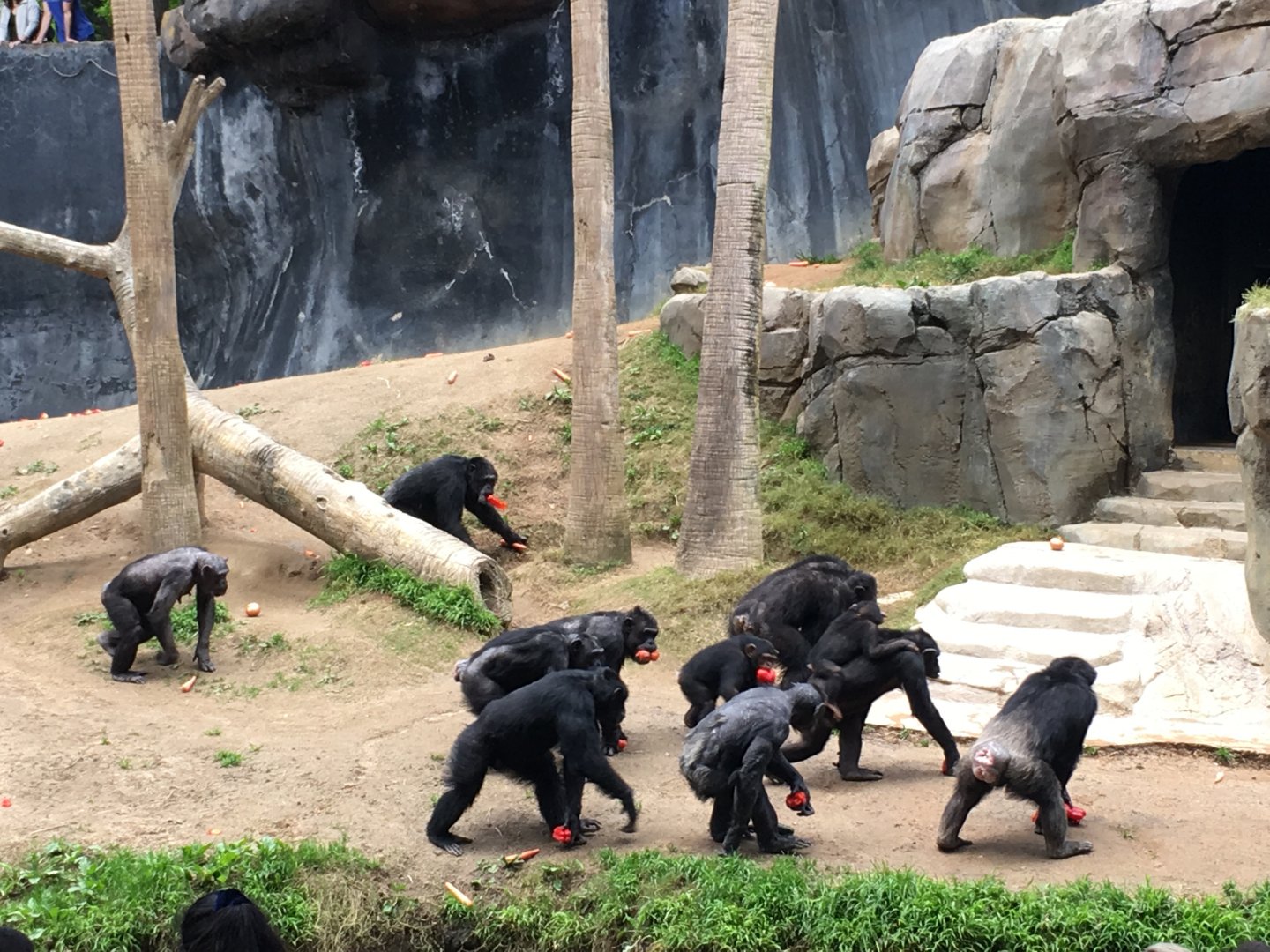 What Are Those Peppers For?