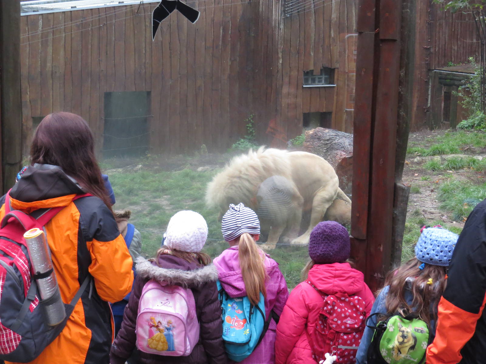 What are we watching? October 2014.